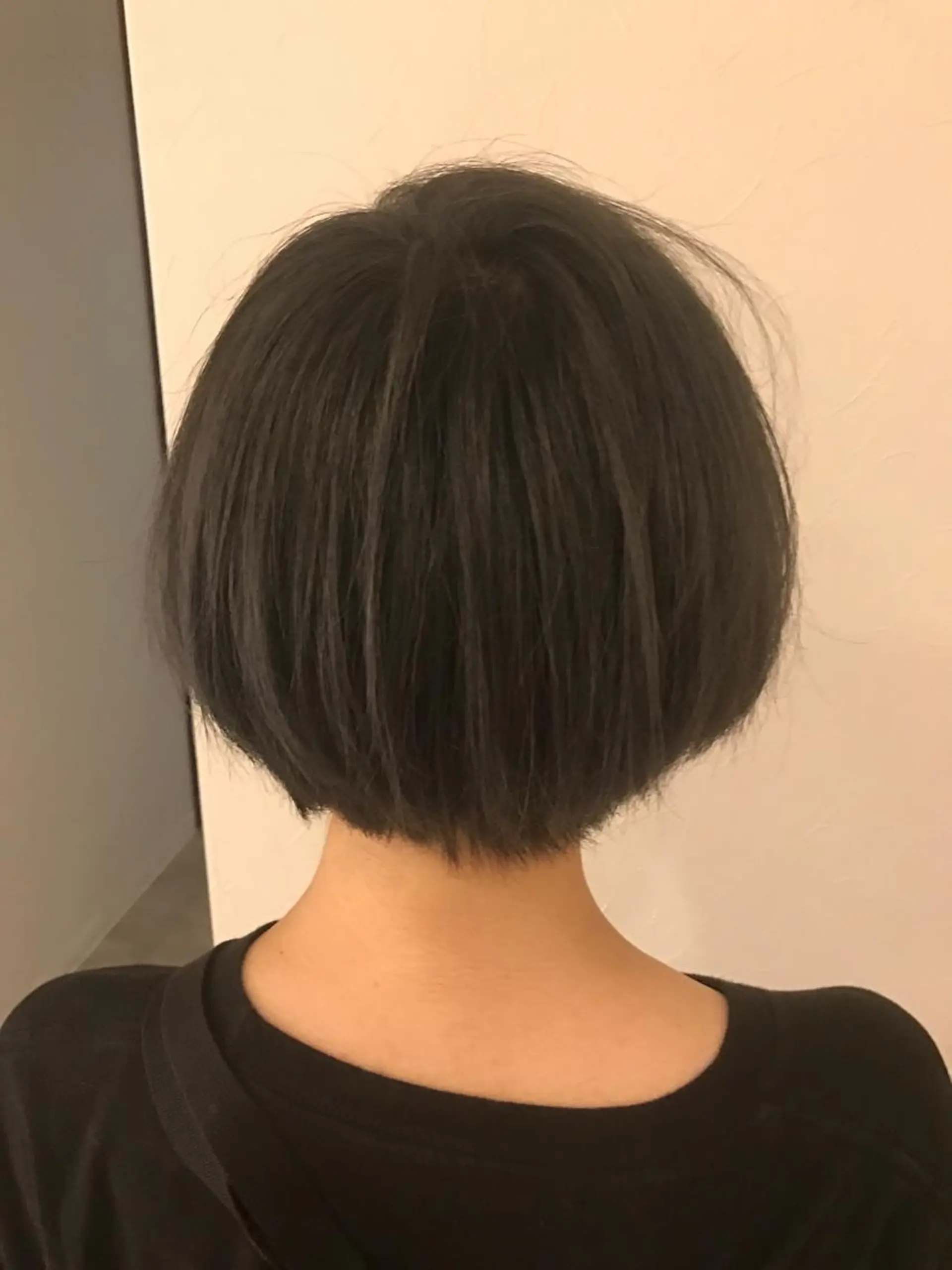 ショート アッシュ パープルカラー 橋本 和弥のヘアスタイル
