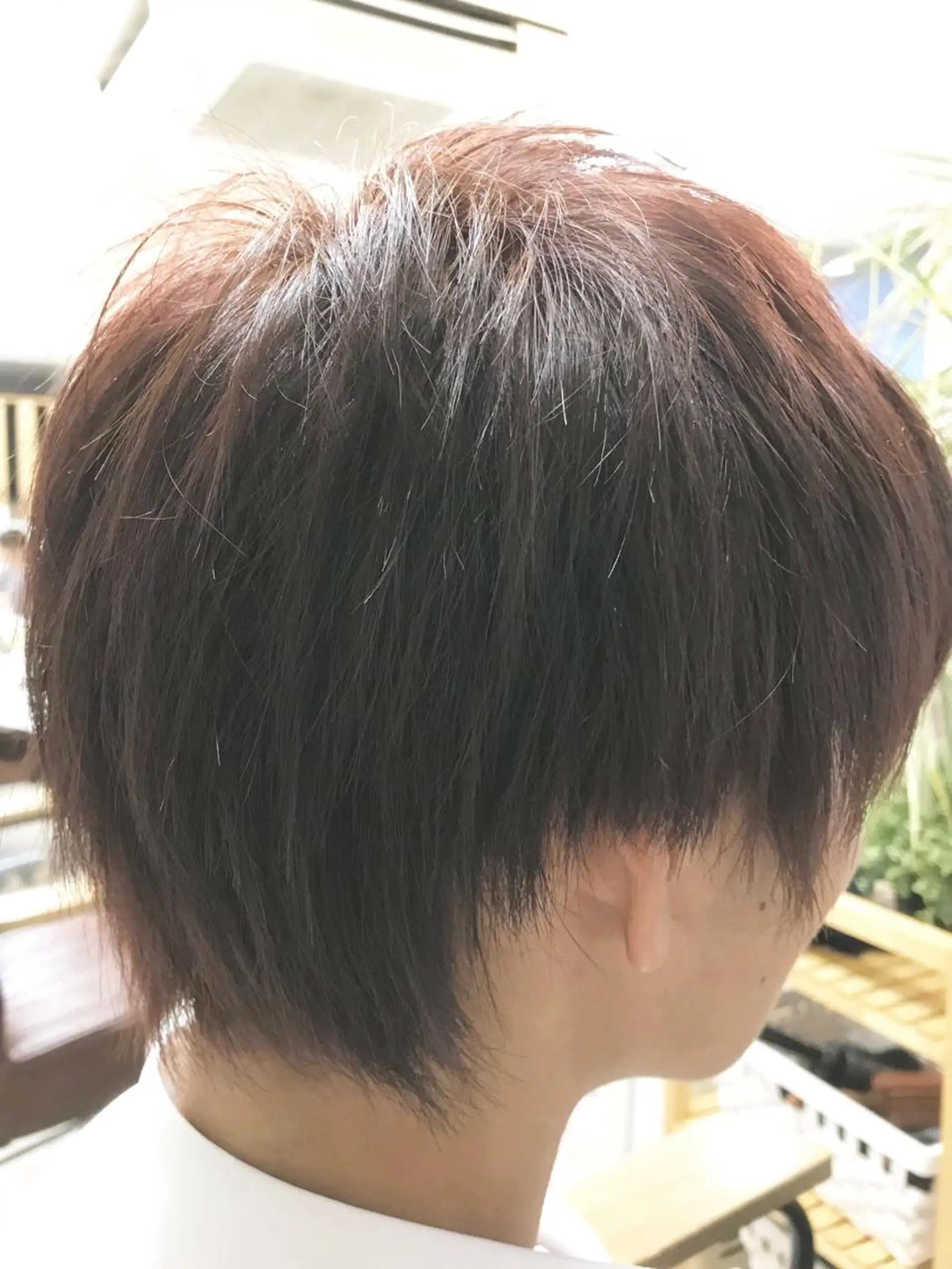 カラー ブラウンカラー ダークブラウン 🌈ショートボブ⚪︎ 暖色🌈村山武史のヘアスタイル