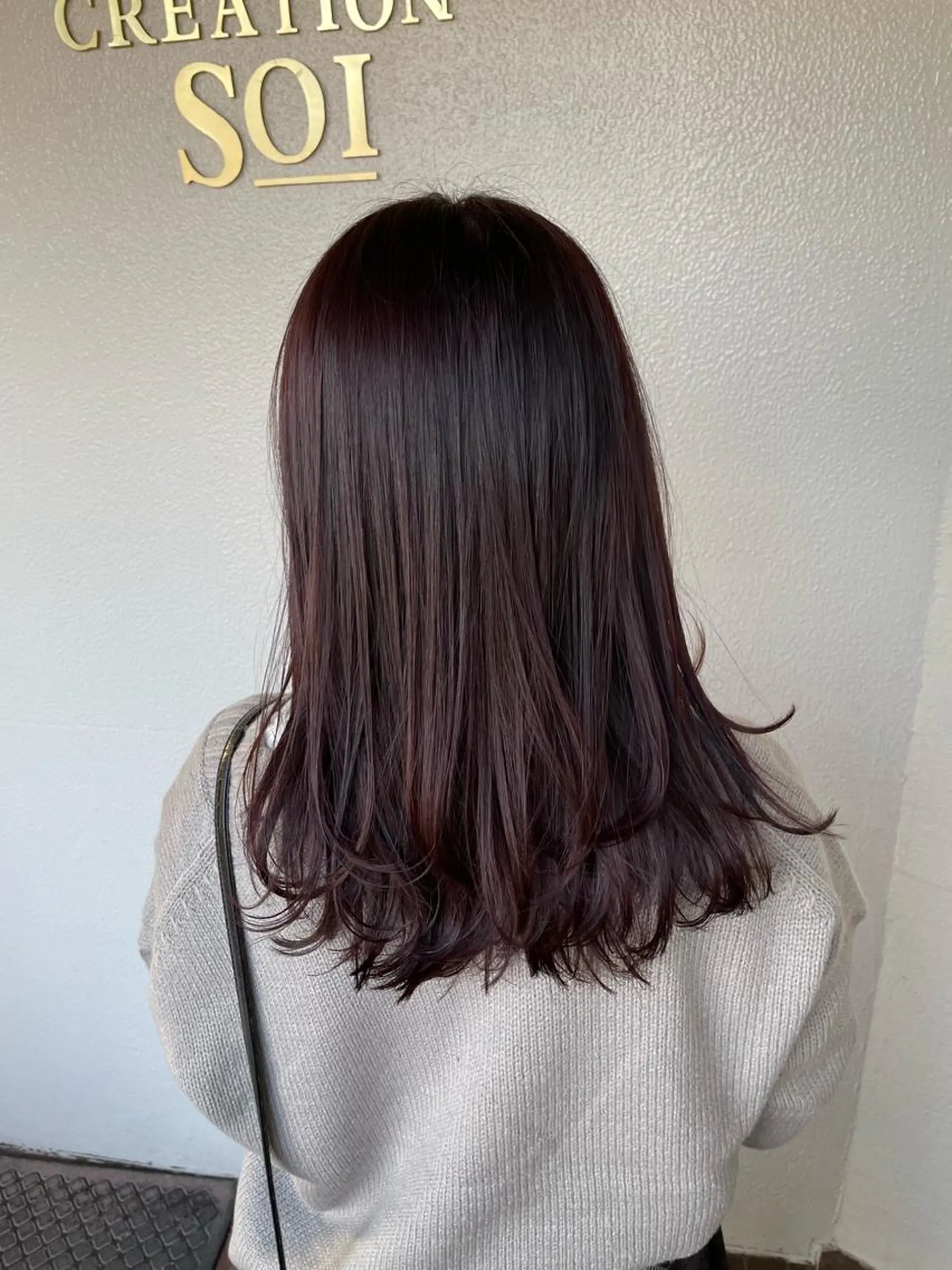 セミロング ヘアカラー 岩崎 祐大のヘアスタイル