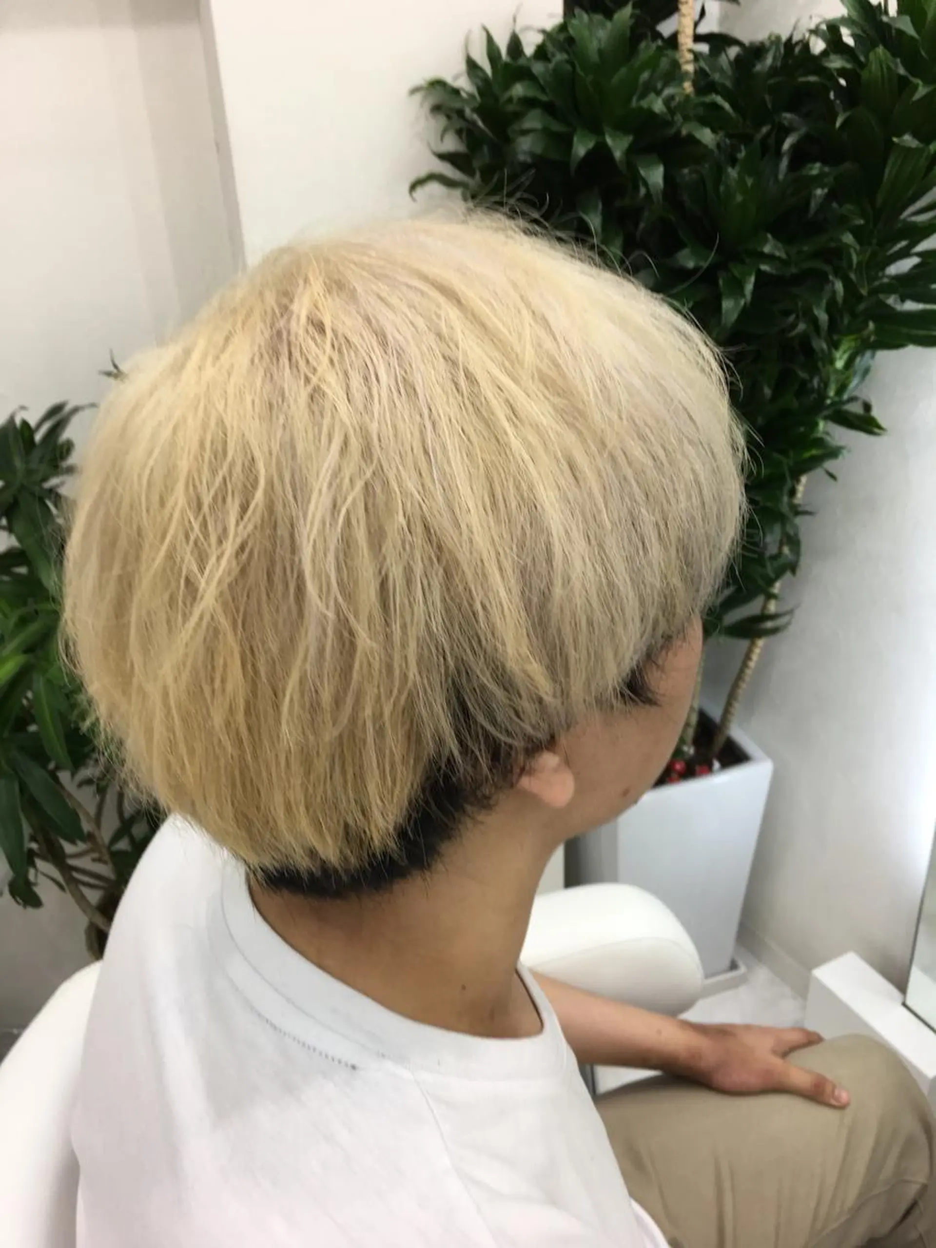 ショート カラー メンズ メンズブリーチ マッシュ ブリーチ ツートーンカラー 佐藤 祥太のヘアスタイル