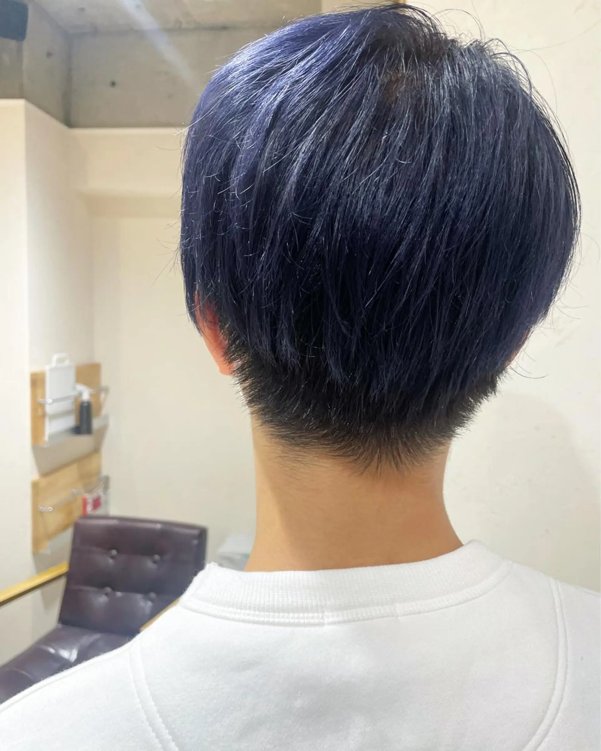 ショート カラー アディクシーカラー 黒髪 ブルーカラー ブルーブラック ヘアカラー Feria所属・カウンセリング重視 🌿‬Tsuyukiのヘアスタイル
