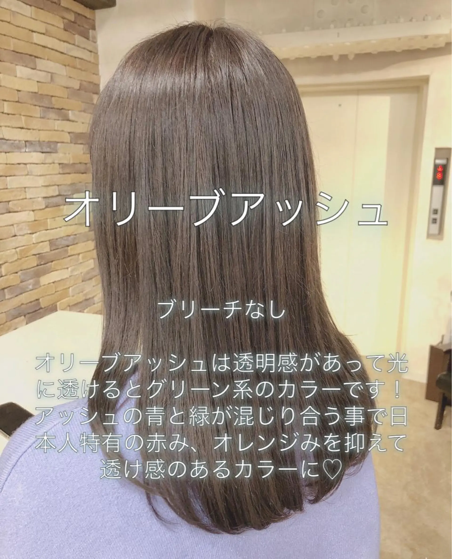 セミロング カラー アッシュ ブリーチ 透明感カラー ブリーチなしカラー オリーブアッシュ ALLY（アリー）所属・ミニモお気に入り数 No.1宍戸雄弥のヘアスタイル