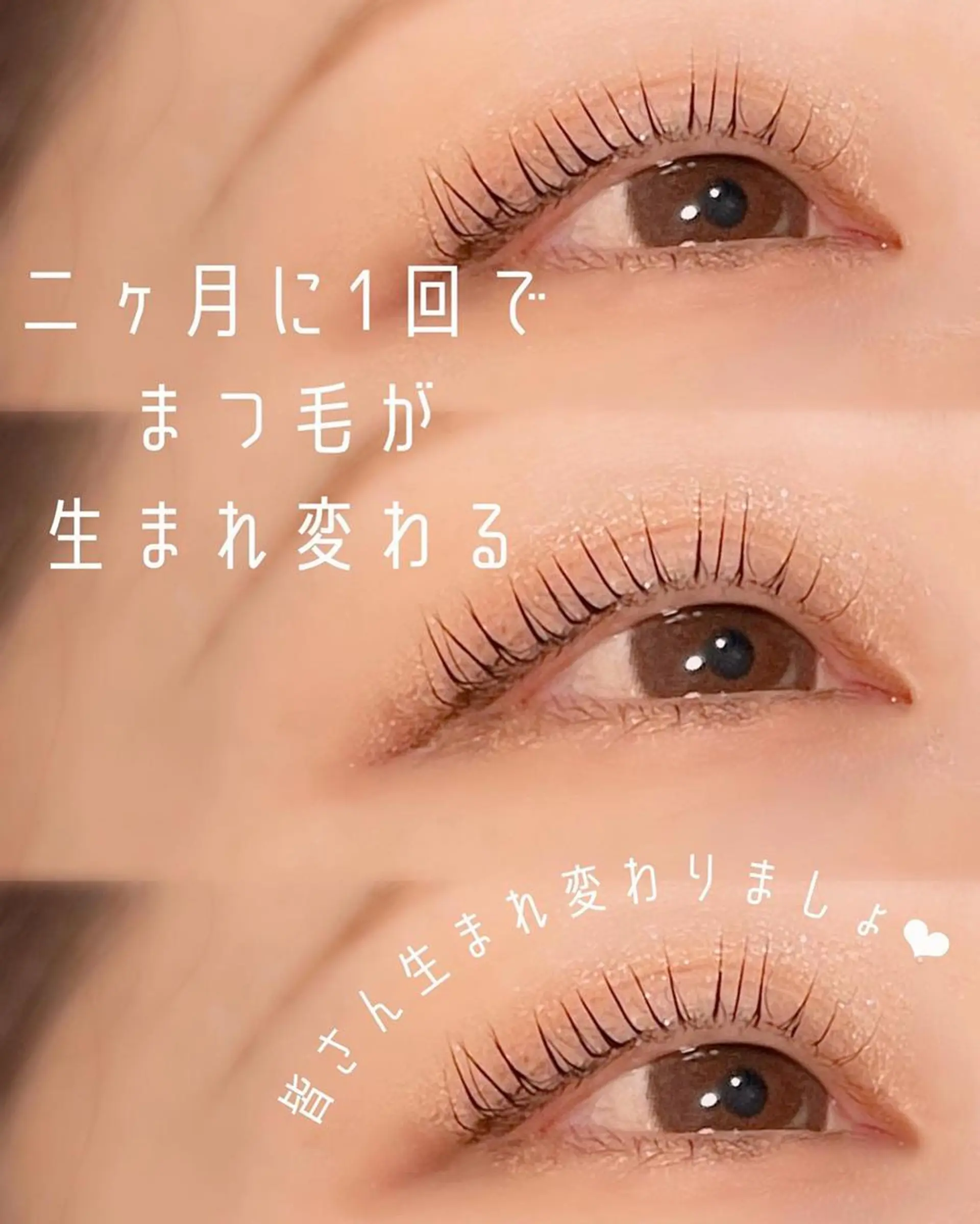 セミロング カラー ヘアアレンジ マツエク・マツパ セミロングパーマ 韓国風マツエク パリジェンヌラッシュリフト 一重×まつ毛パーマ 韓国風ヘア ブレス　セルバテラス泉店所属・🍓Rei naのマツエク・マツパデザイン