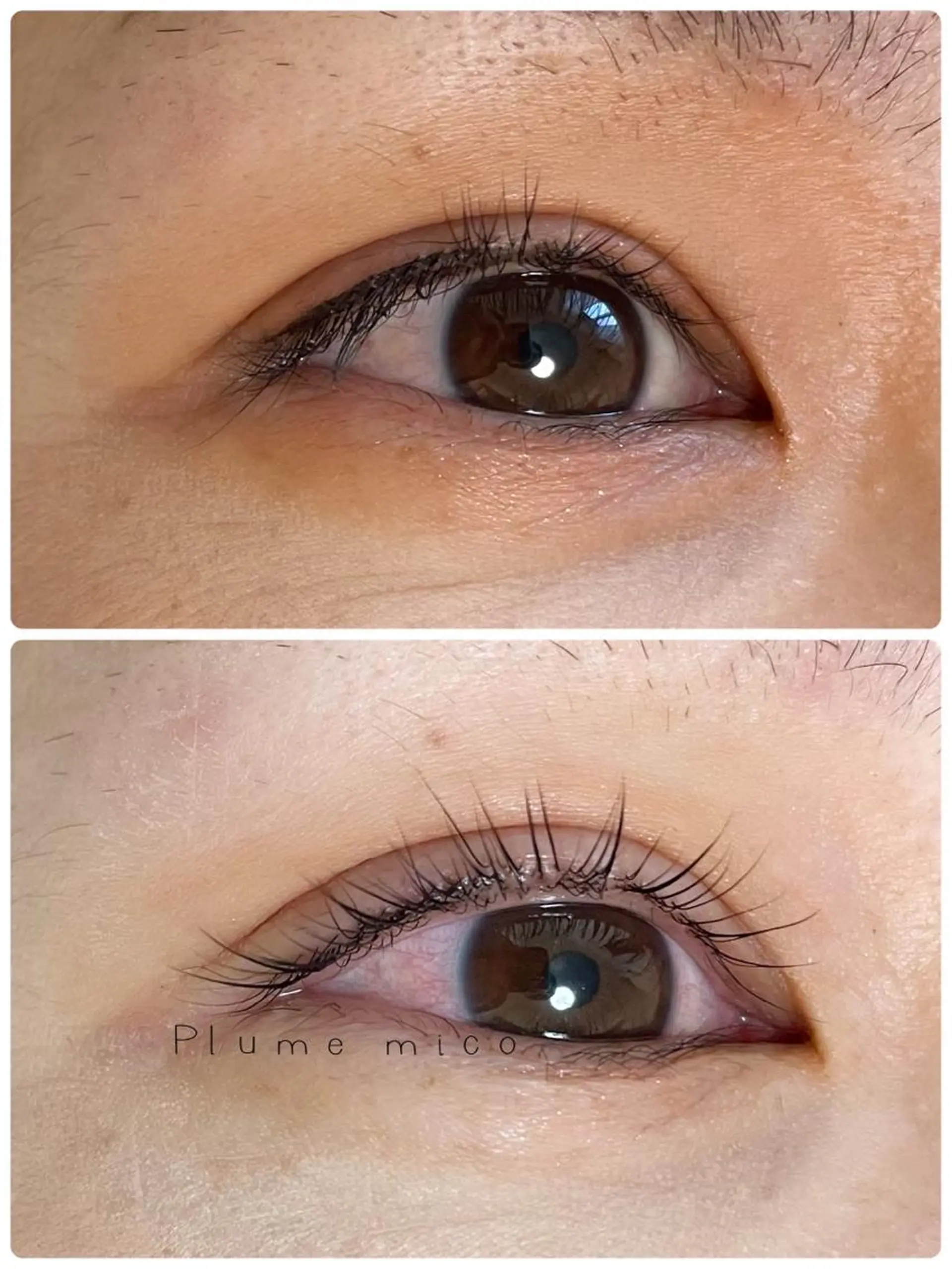 マツエク・マツパ マツパ Plume micoのマツエク・マツパデザイン