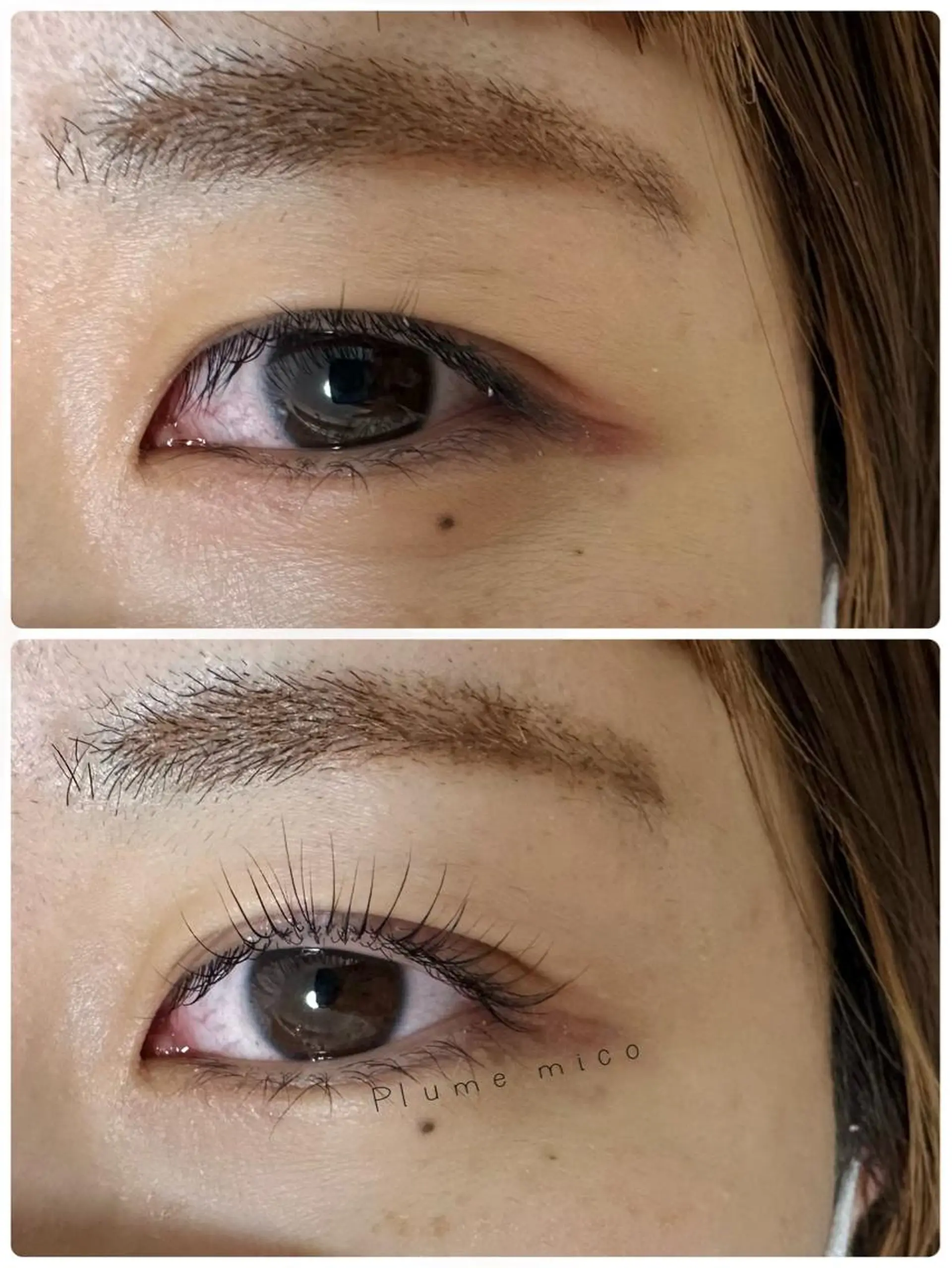 マツエク・マツパ マツパ Plume micoのマツエク・マツパデザイン