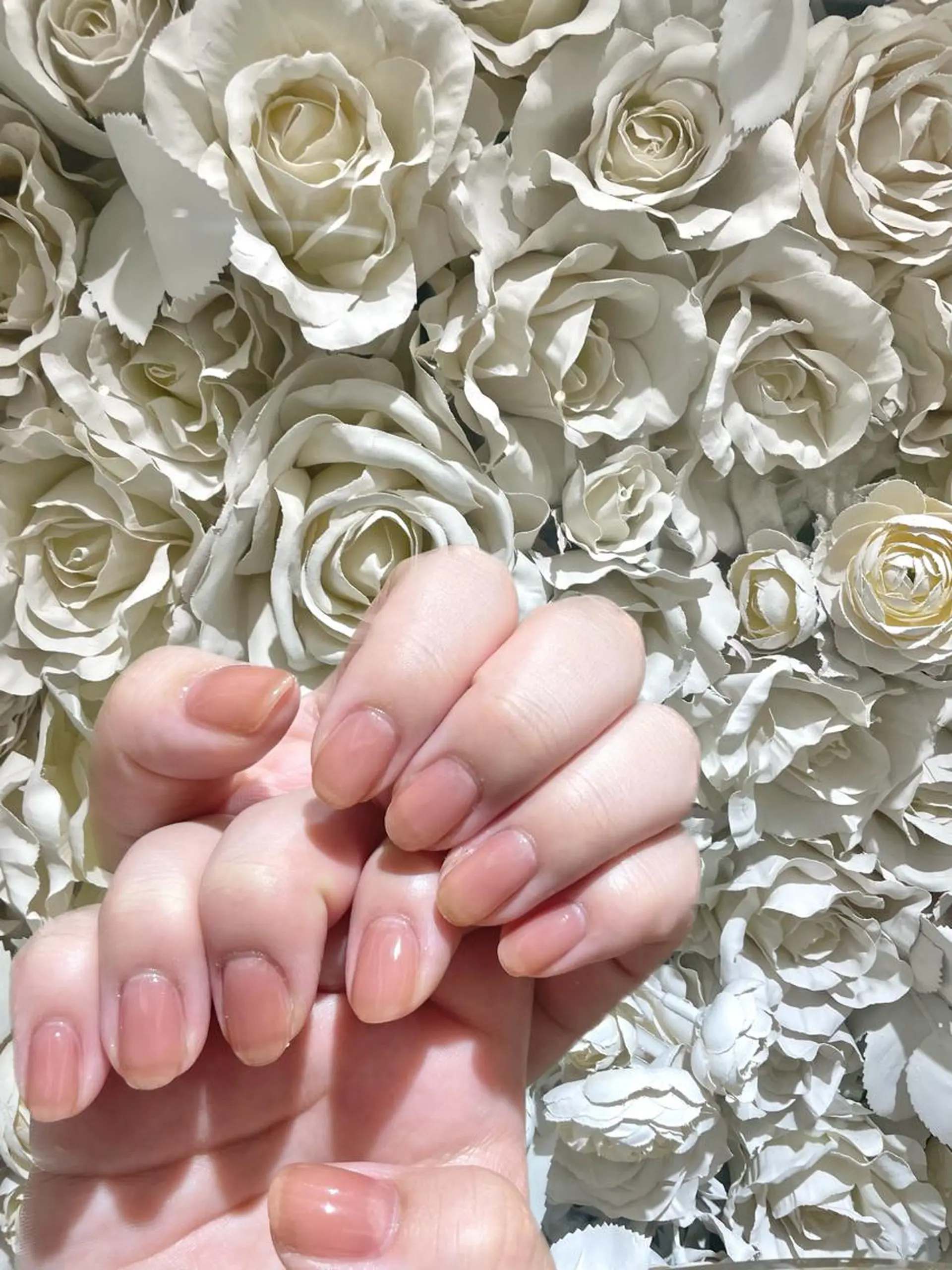 ネイル シンプルネイル PuaMo. JUNA🐇ྀིのネイルデザイン