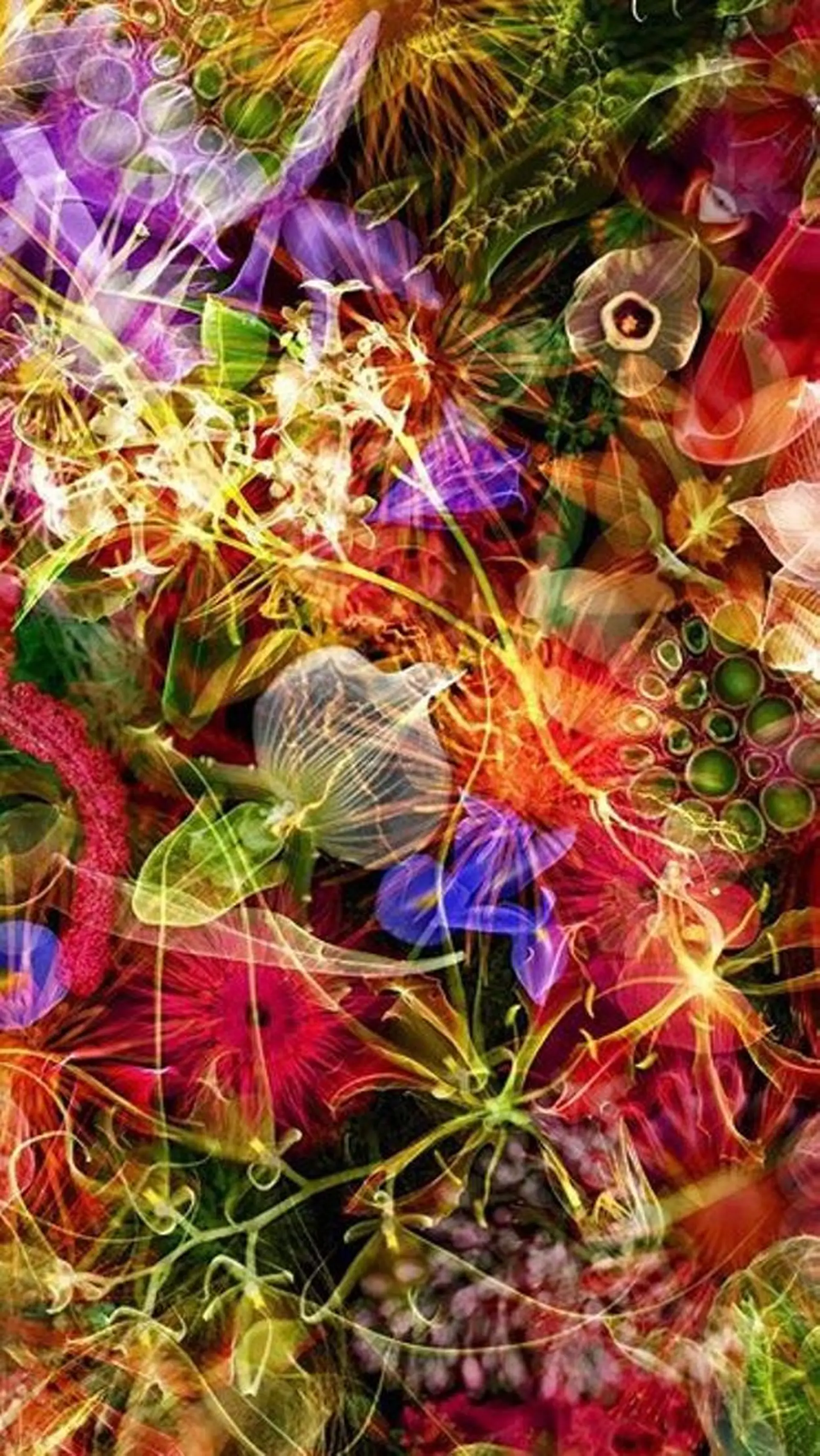 ポーラザビューティー松原店所属・ポーラ松原店 北口のエステ・リラクイメージ