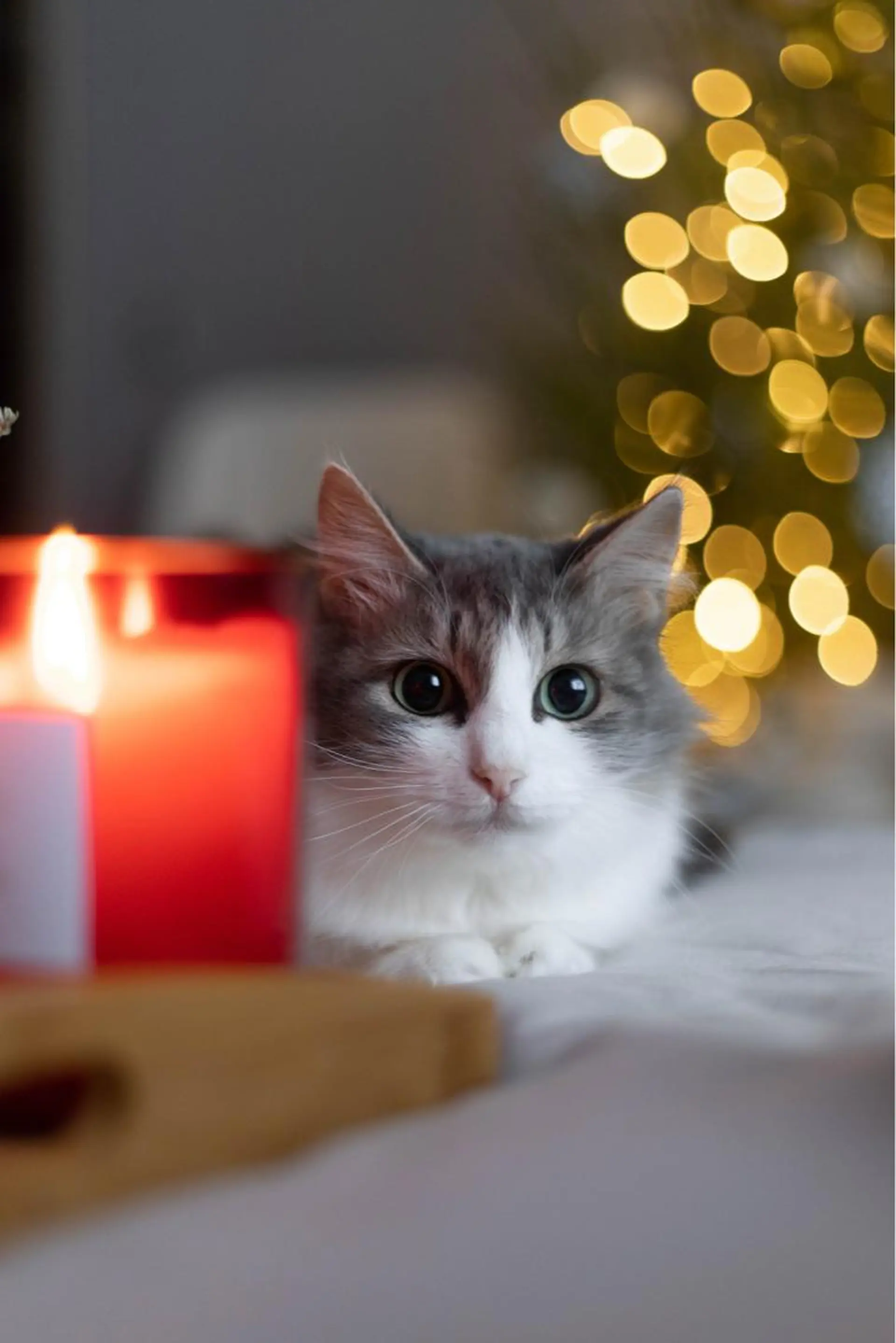 DUPE&MORE所属・DUPE&MORE 店長kanaeのエステ・リラクイメージ