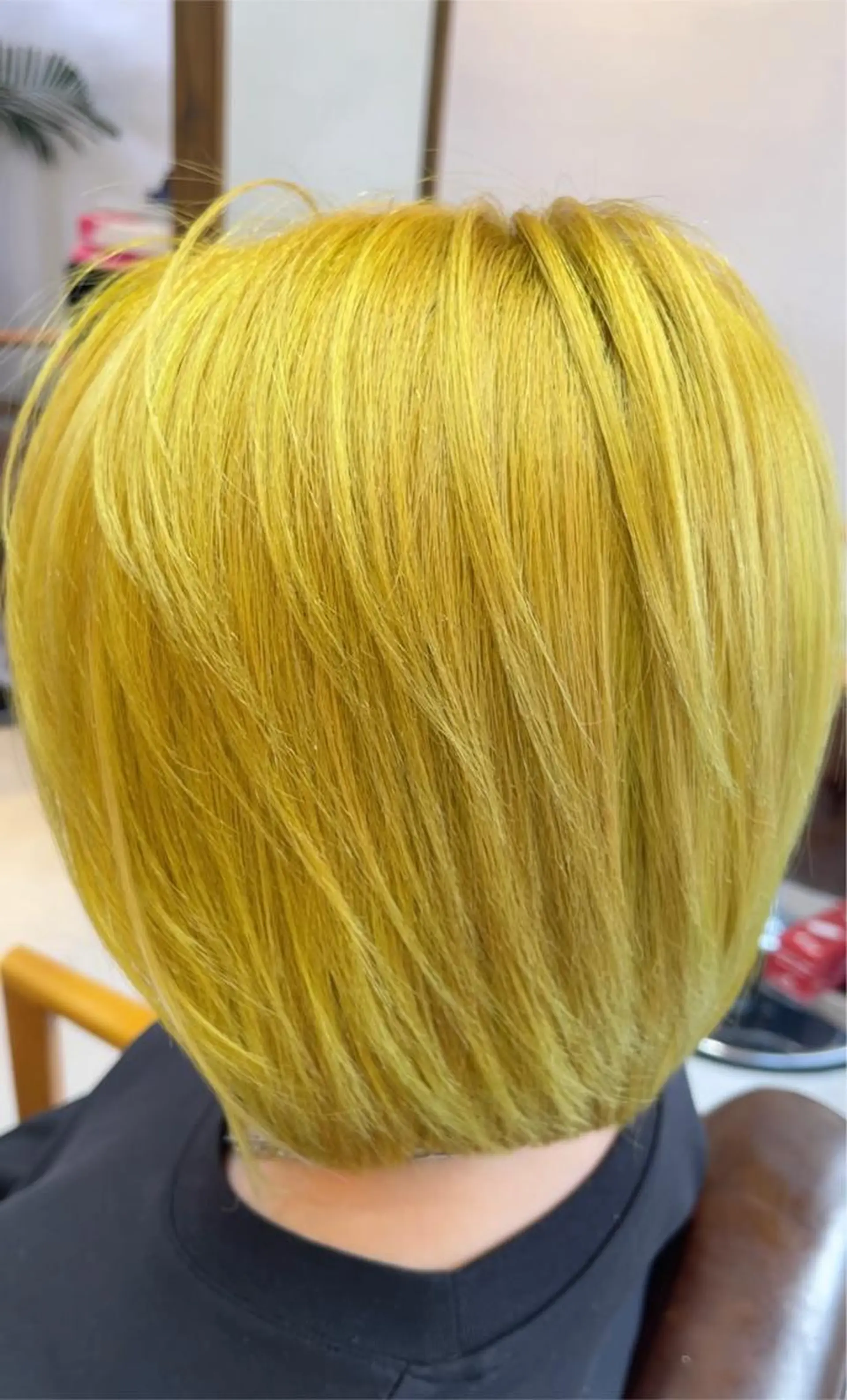 ミディアム カラー カット ヘアカラー トリートメント MARDI GRAS 蘭丸のヘアスタイル