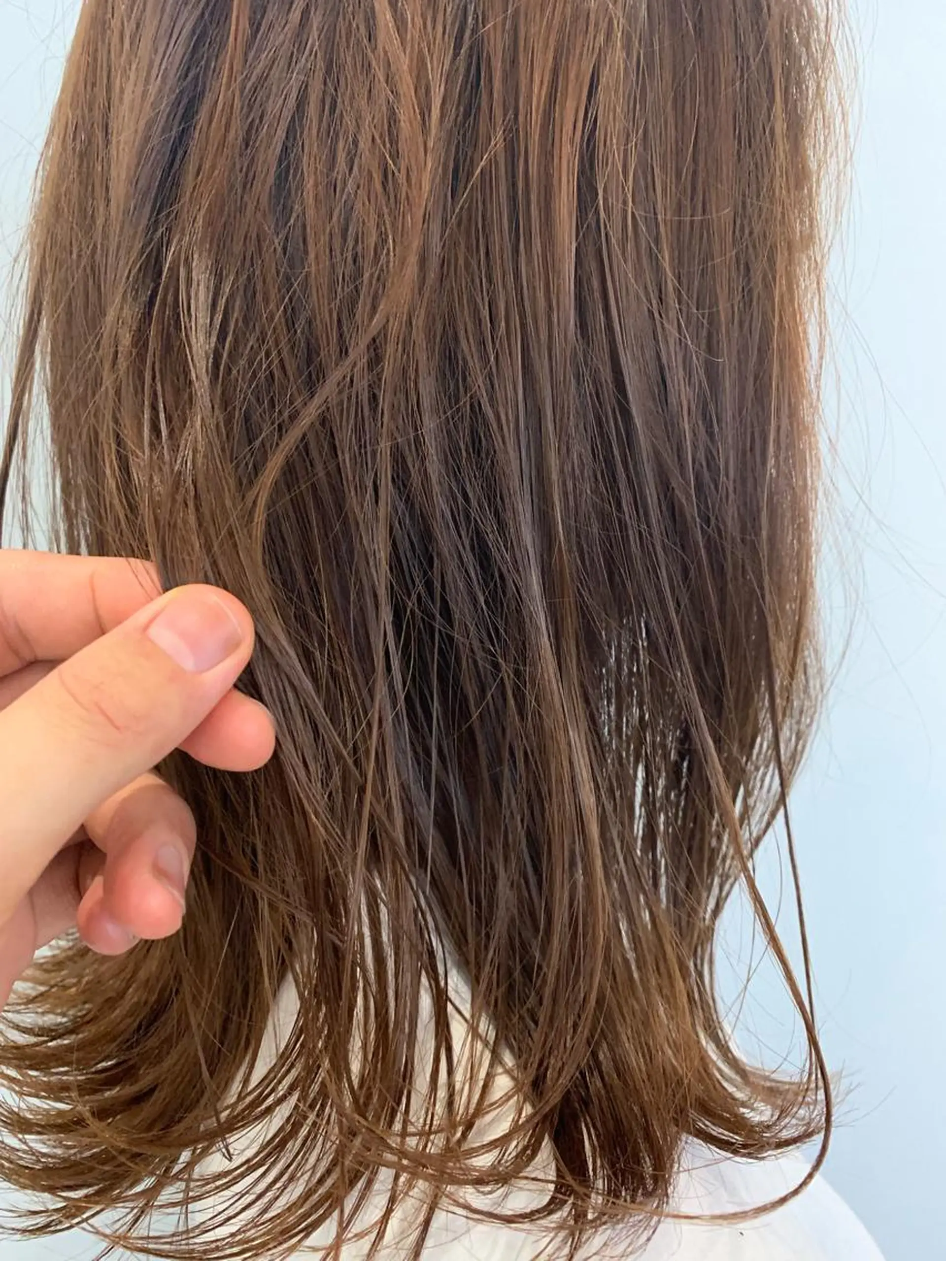 カラー 鈴木 真司のヘアスタイル