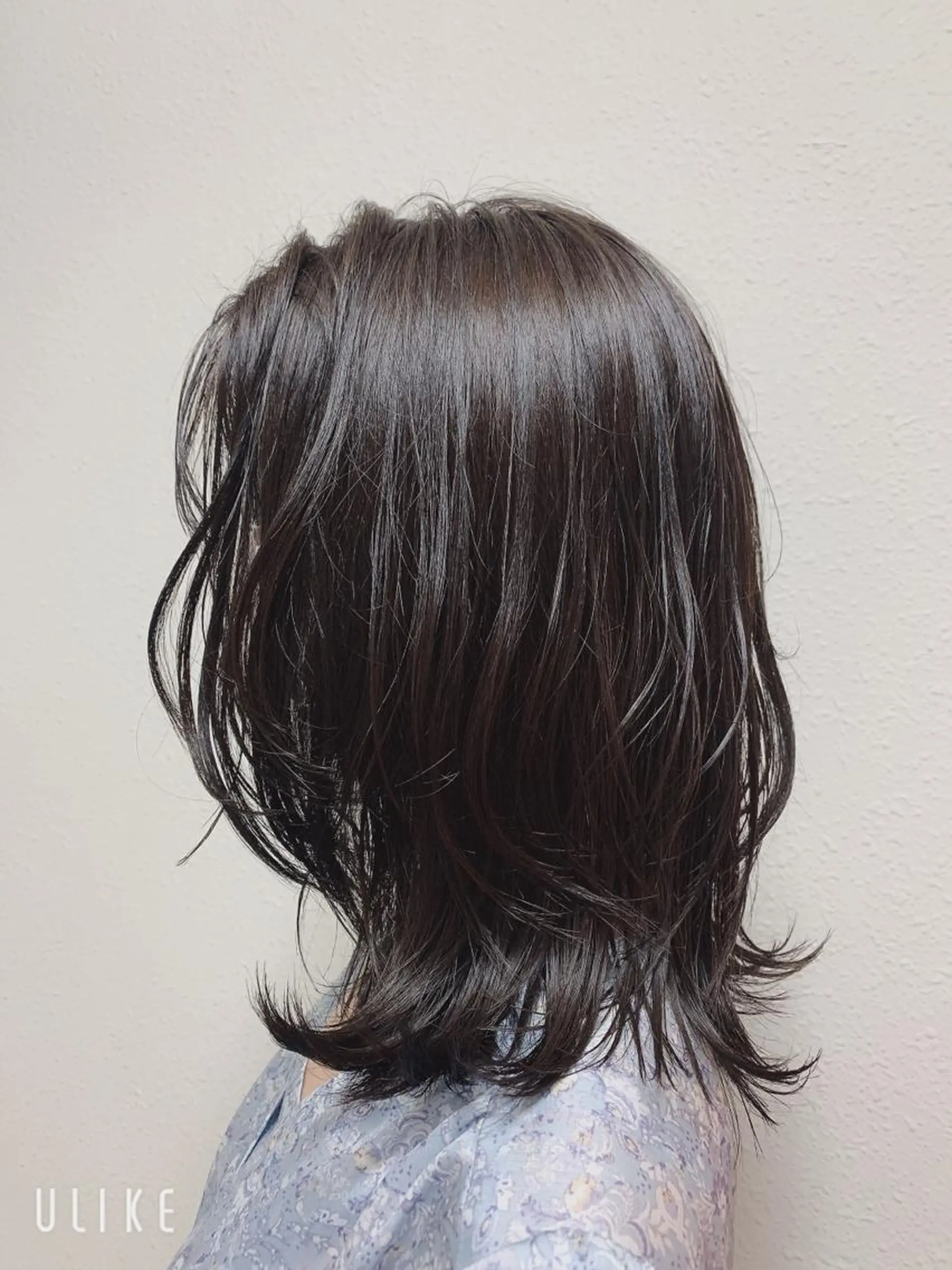 セミロング カラー エンドウ ミノリ🤎 /半個室/レイヤーのヘアスタイル