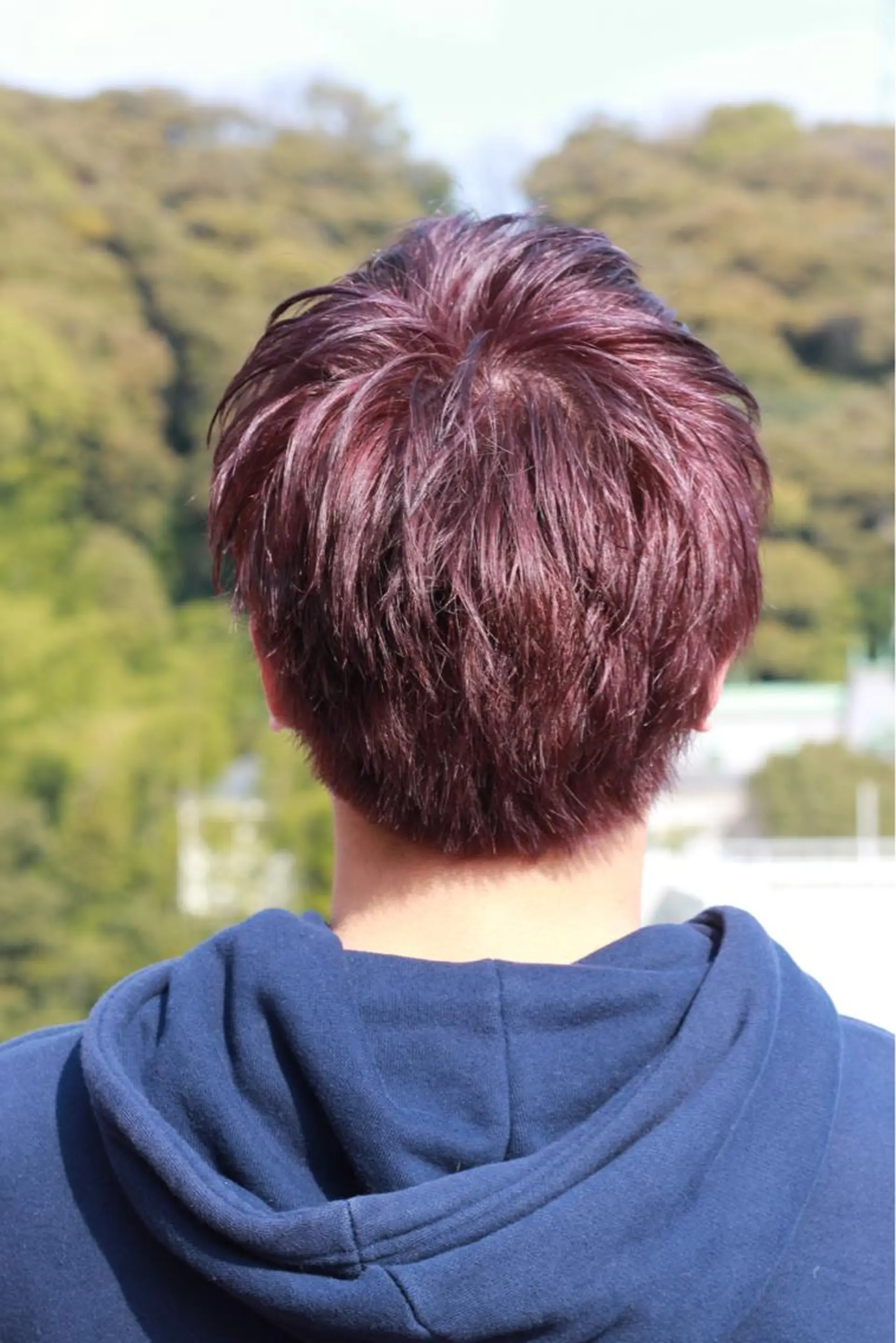 ショート カラー バイオレットカラー カット Viage （ビアージュ）のヘアスタイル