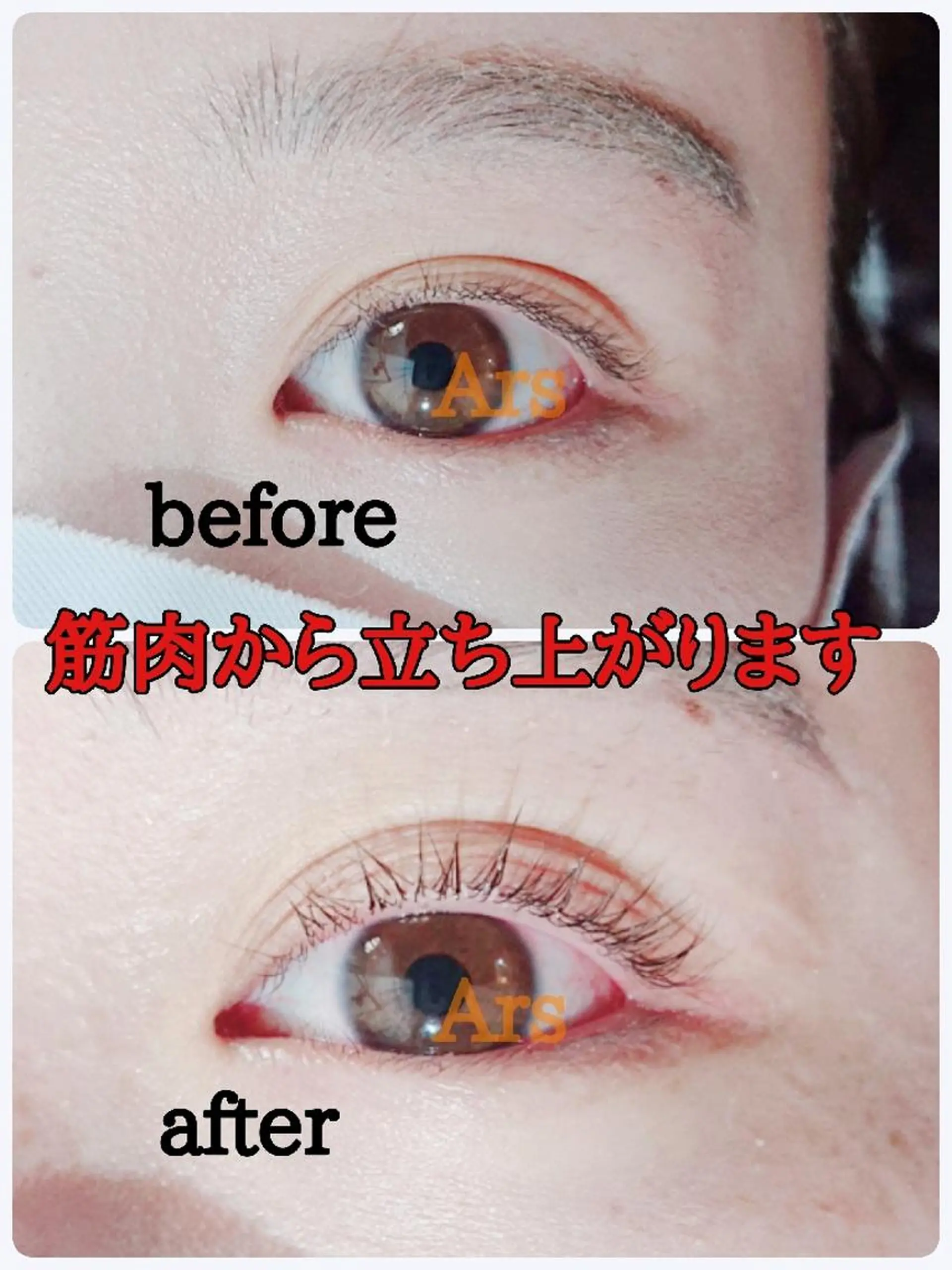 マツエク・マツパ アイリッドアップパーマ Ars (アルス)所属・Ars (アルス)のマツエク・マツパデザイン