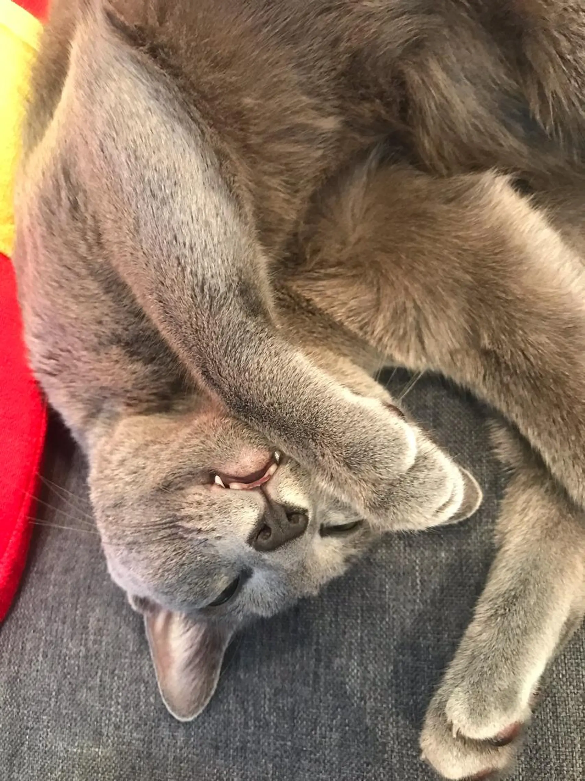 ショート カラー パーマ ヘアアレンジ メンズ キッズ ネイル マツエク・マツパ アニメ,Vオタク× 即効痩せエステサロンのエステ・リラクイメージ