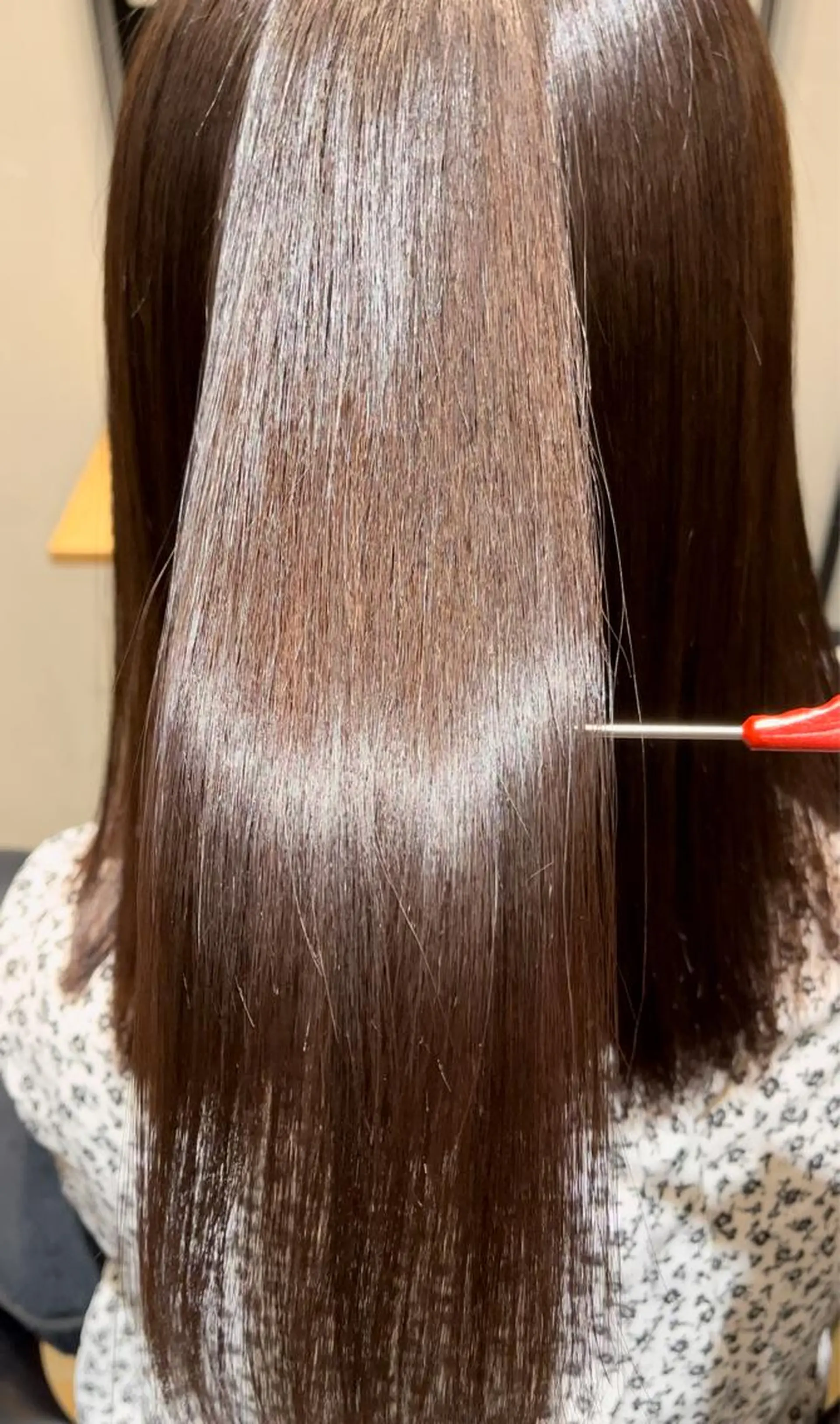 えんぐちとも／透明感 カラー／博多ボブのヘアスタイル