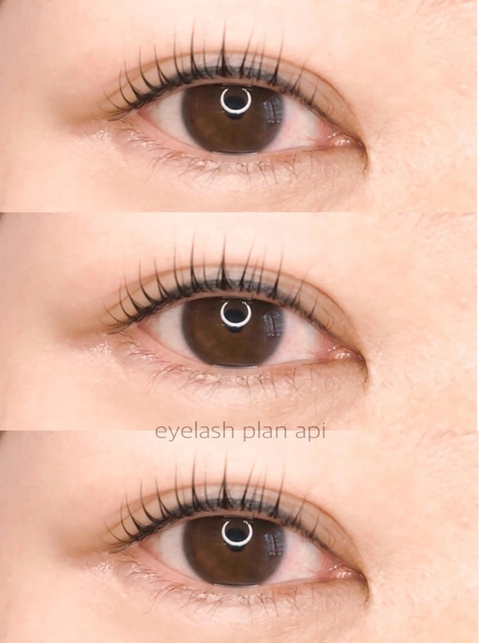 マツエク・マツパ マツパ 《eyelash ｉｉｔｅ》森のマツエク・マツパデザイン