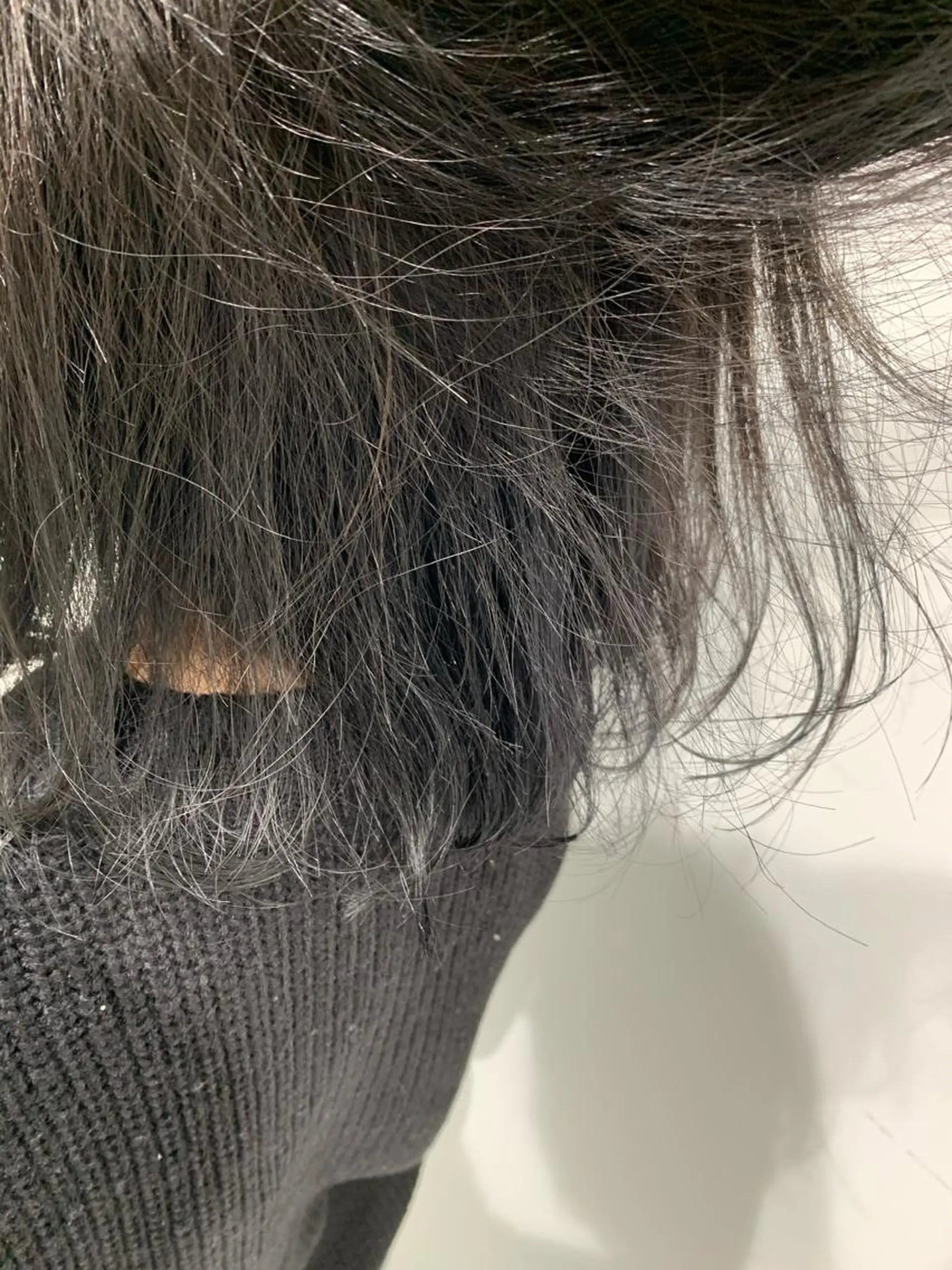 ショート カラー TAKUMI .のヘアスタイル