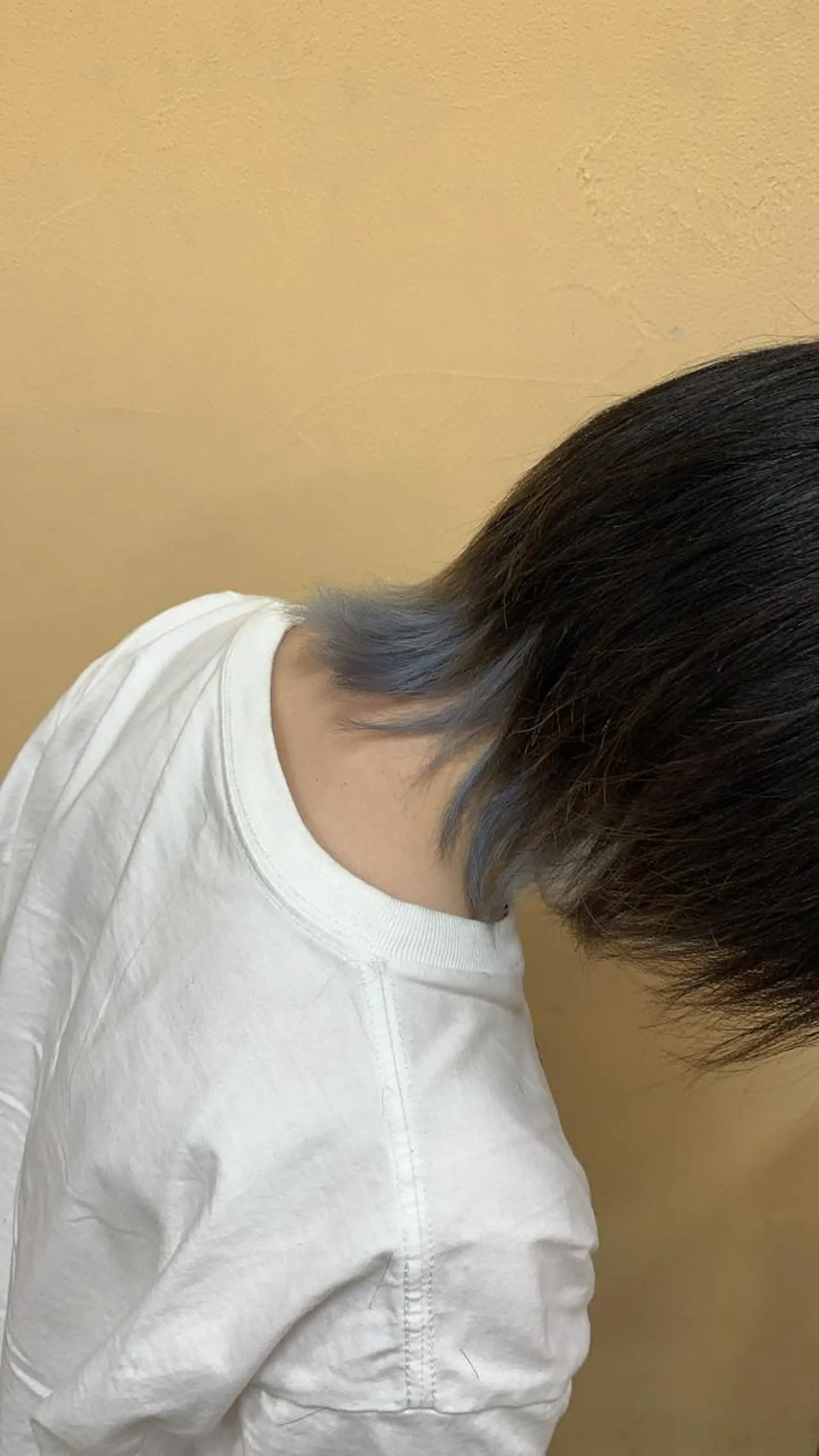 ショート カラー カネコ ユカリのヘアスタイル