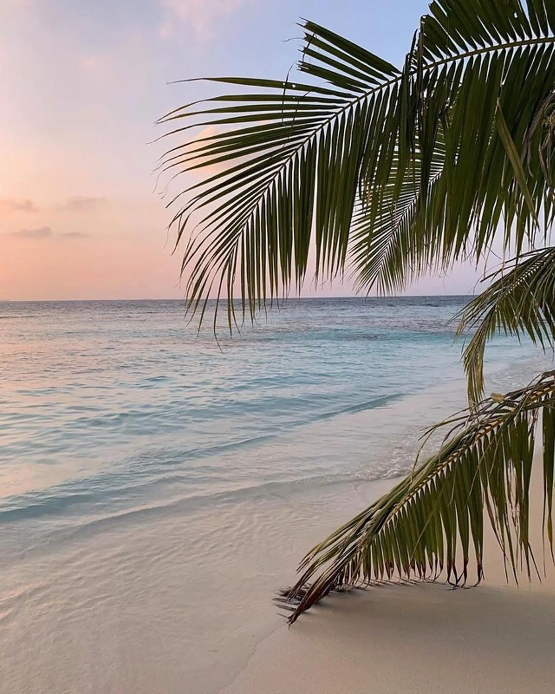 𝐘𝐎𝐒𝐇𝐈 𝐌𝐈🌞🏝のマツエク・マツパデザイン