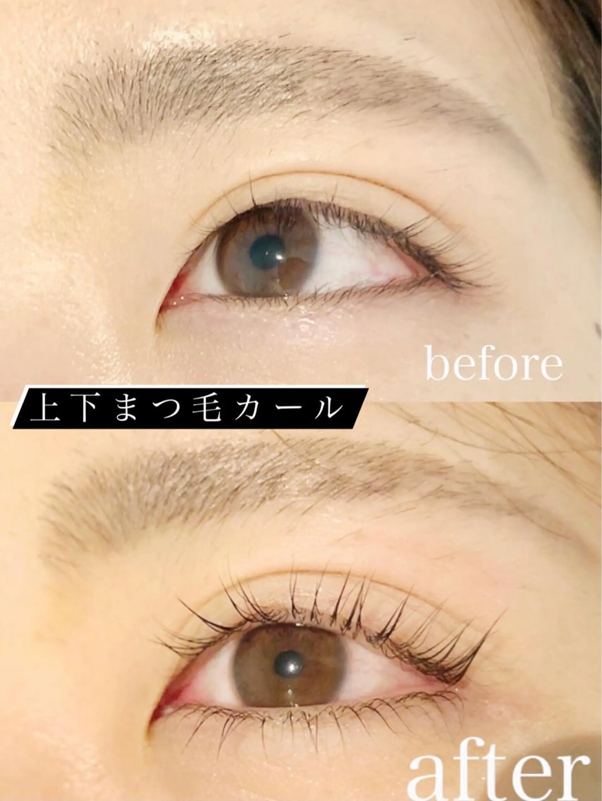 マツエク・マツパ パリジェンヌラッシュリフト まつげパーマ 下まつげエクステ マツパ Tsuruga Mikiの眉毛・アイブロウイメージ
