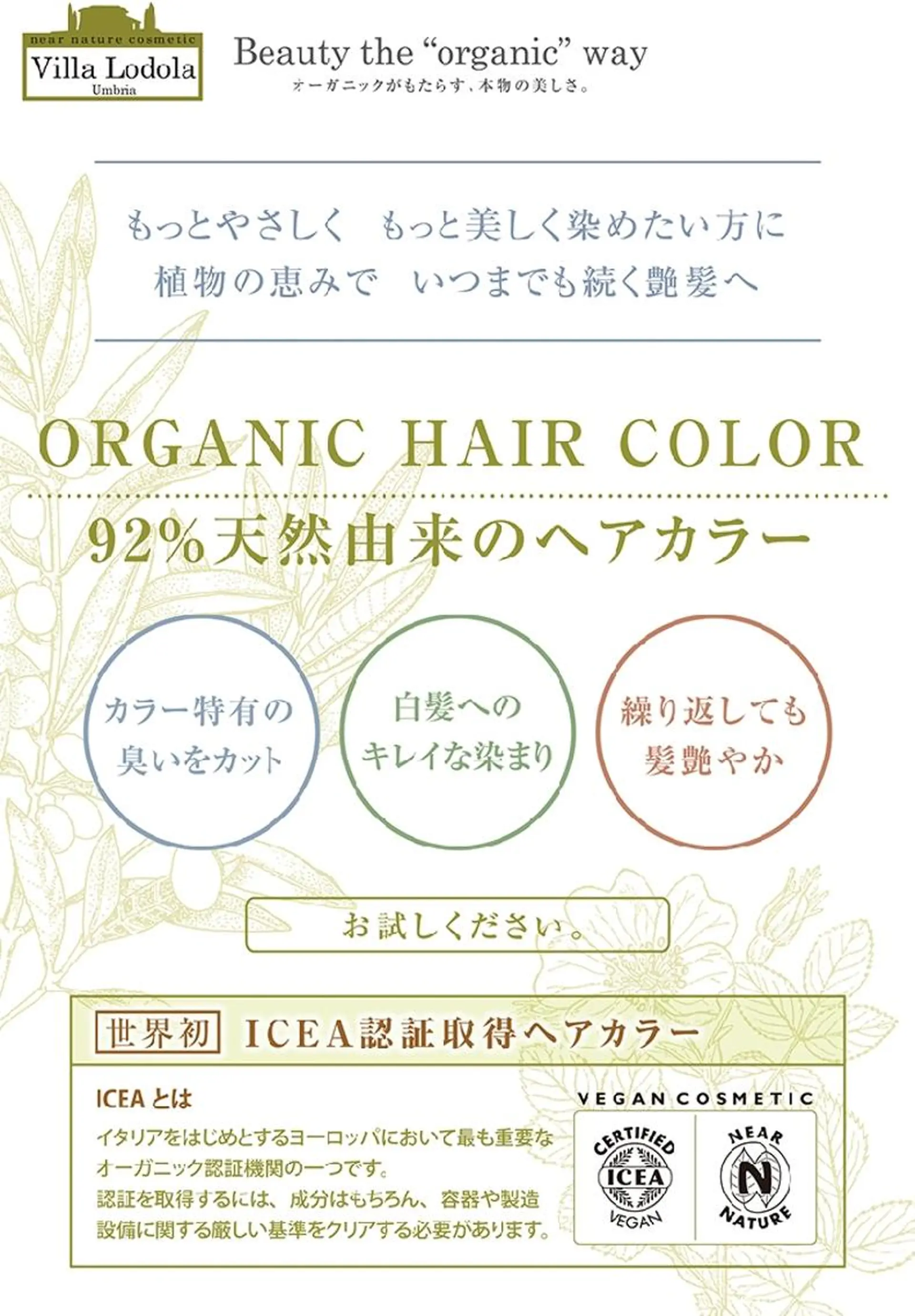 カット ヘアカラー Hair Stylist MAFUYU所属・ハイライト/カラー ⭐中村真冬のヘアスタイル