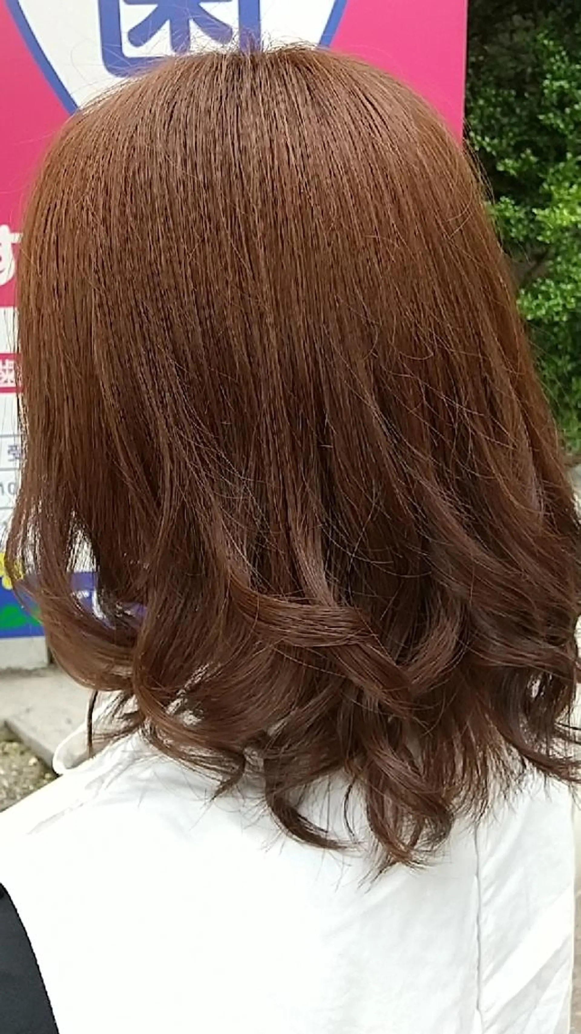 カラー SUMIRE🌿 スミレのヘアスタイル