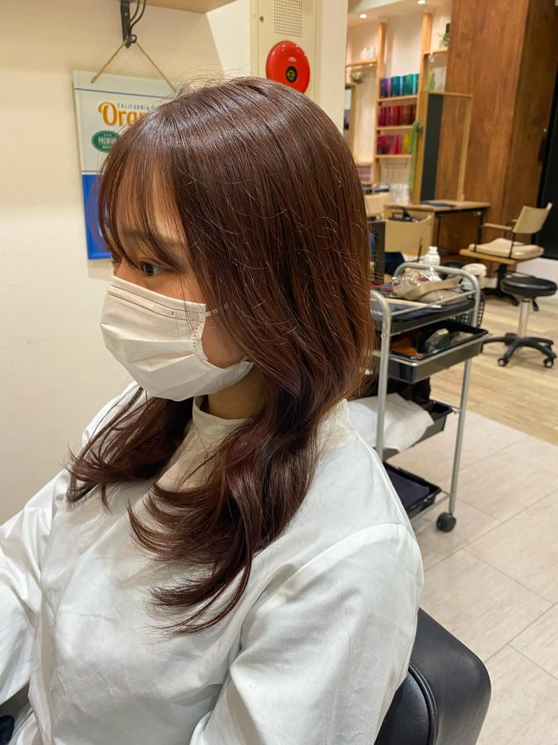 ミディアム ピンクラベンダー ヨシンモリ カット ヘアカラー 韓国トレンドヘア しゅーやのヘアスタイル