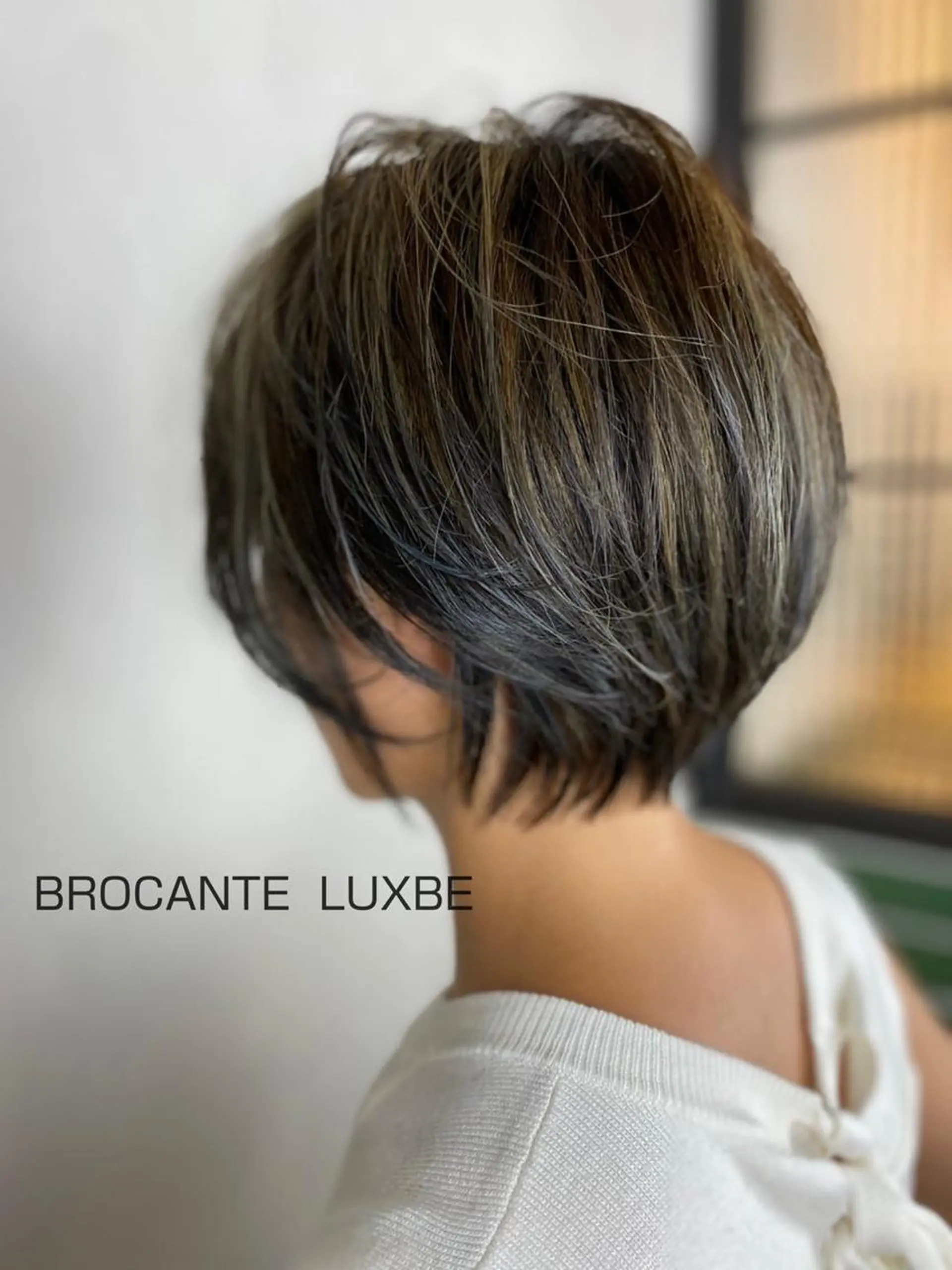 ショート カラー ショートボブ アッシュ ハイライトカラー シルバー シルバーアッシュ BROCANTE✂︎ karasawa.nのヘアスタイル