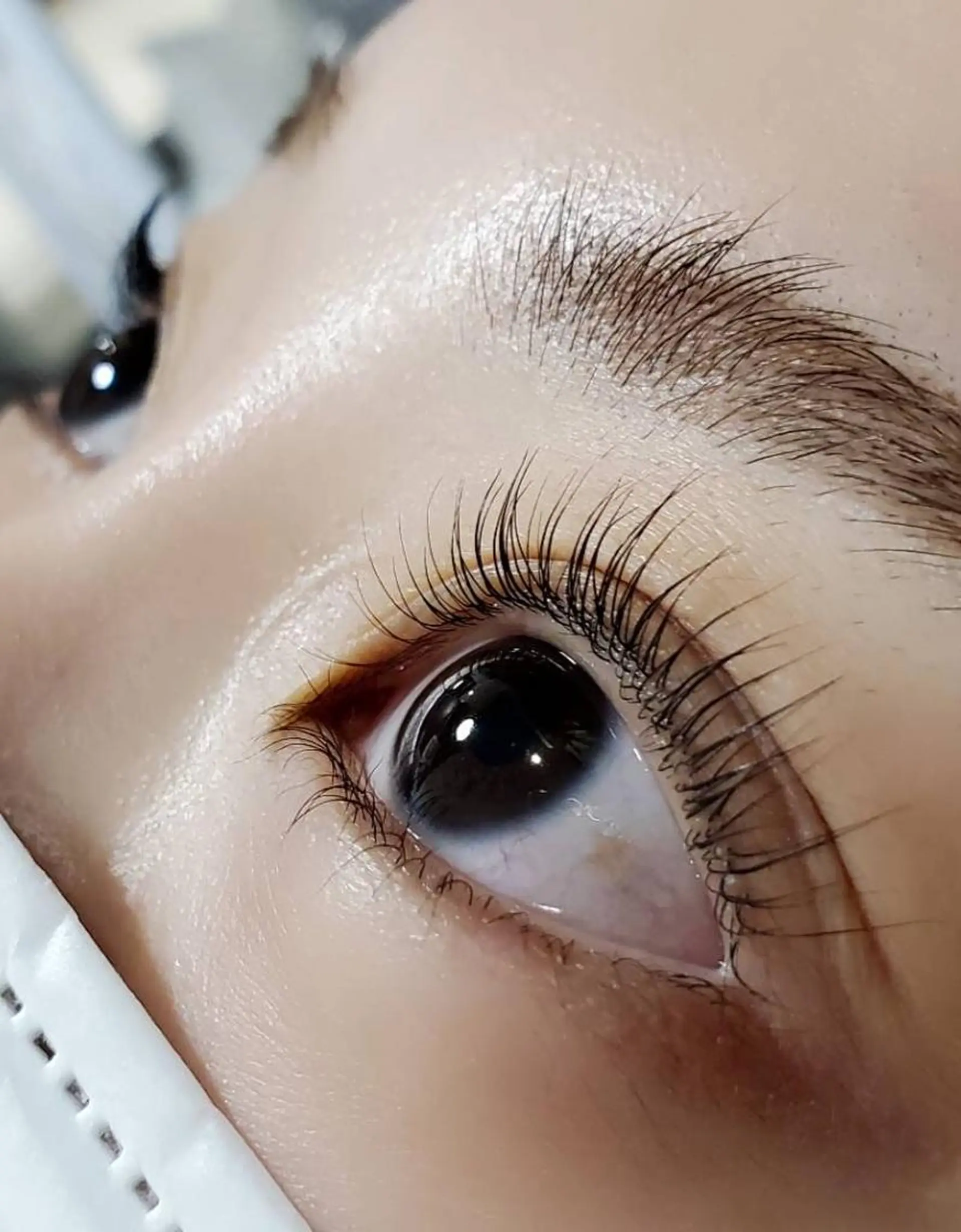 マツエク・マツパ パリジェンヌラッシュリフト まつげパーマ 下まつげエクステ 🌸Nail&Eye KAKU🌸のネイルデザイン