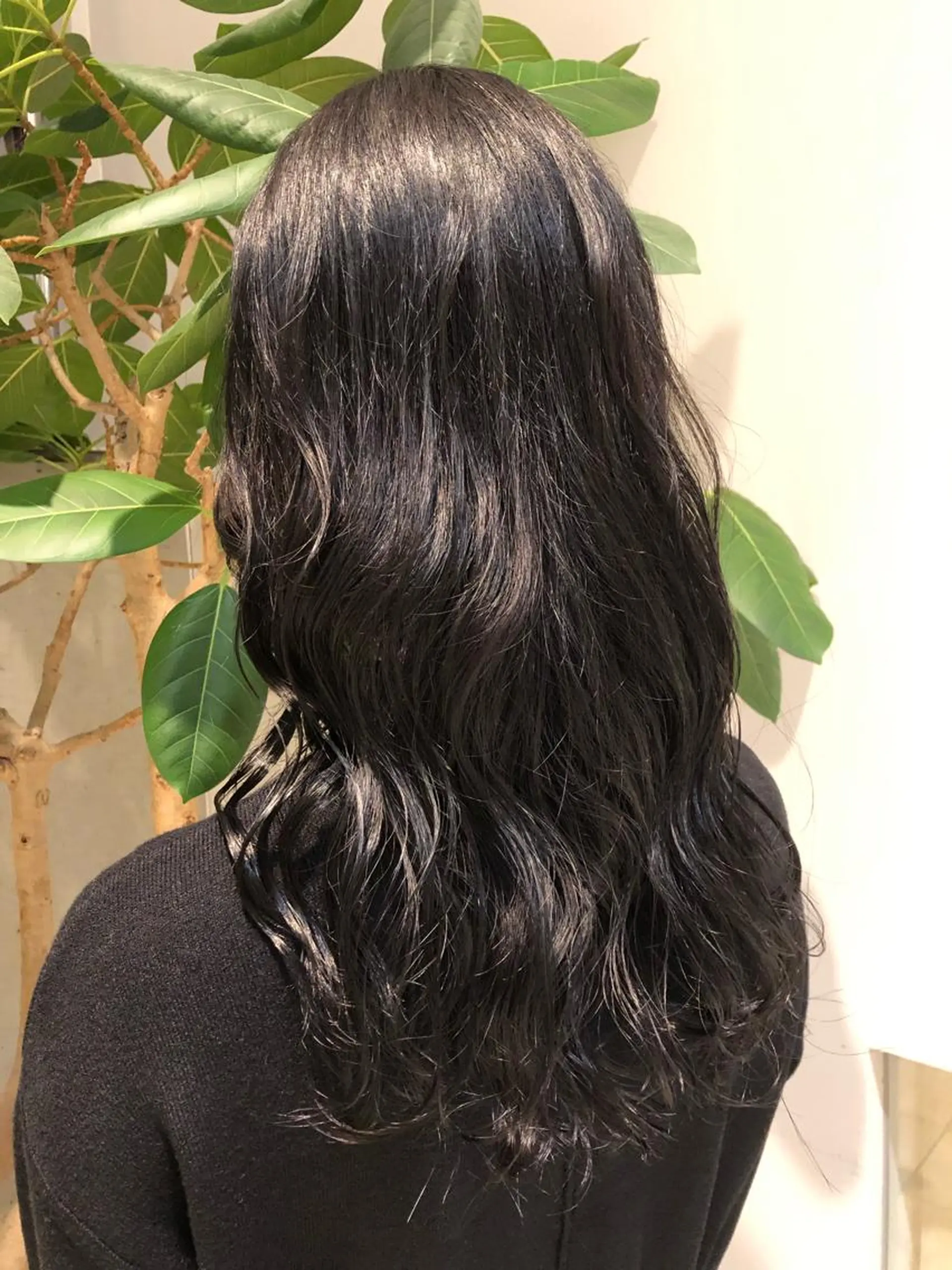 カラー カットモデル/ 🌷内藤美乃🌷のヘアスタイル