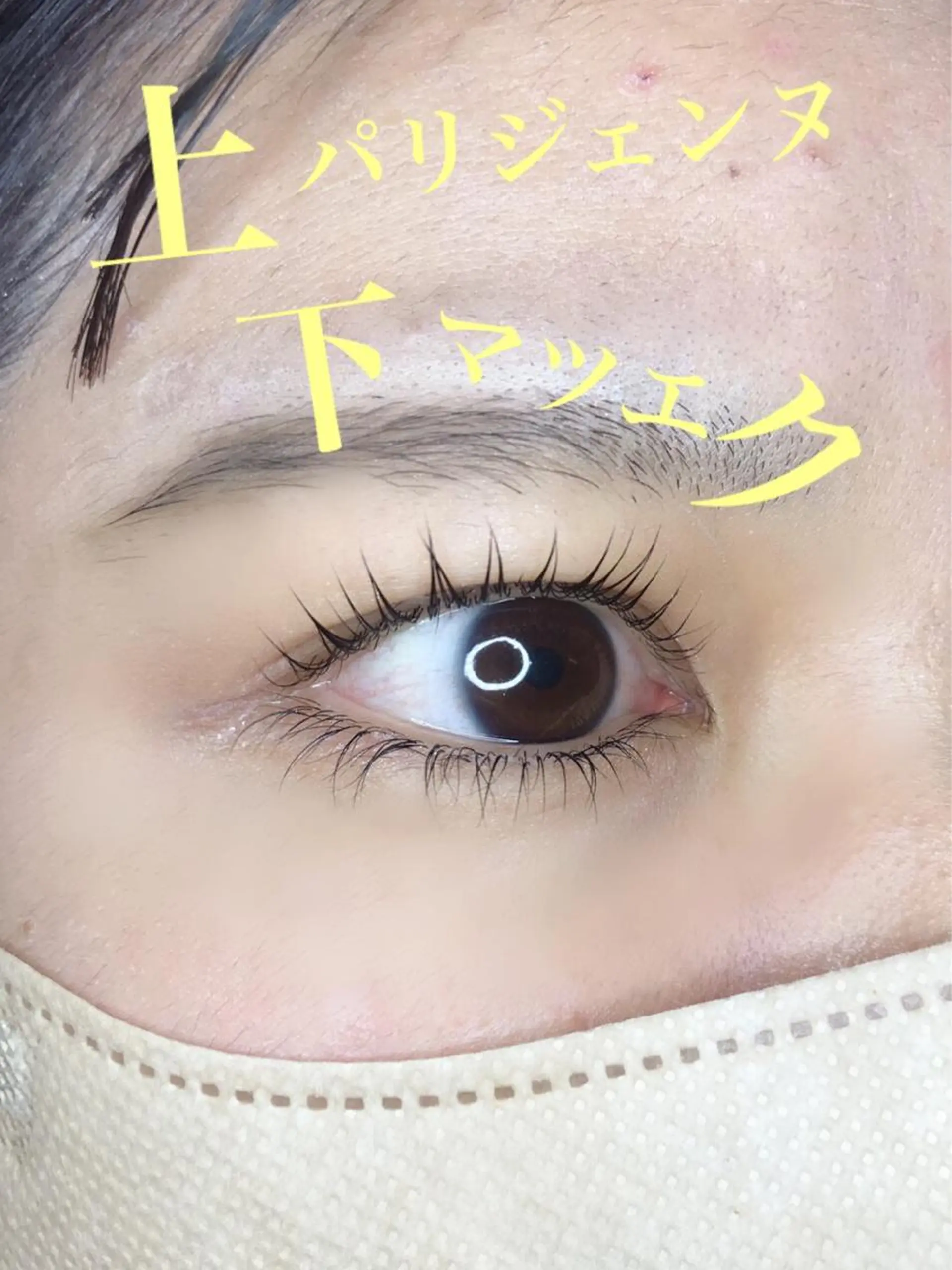 マツエク・マツパ マツパ 《eyelash ｉｉｔｅ》森のマツエク・マツパデザイン