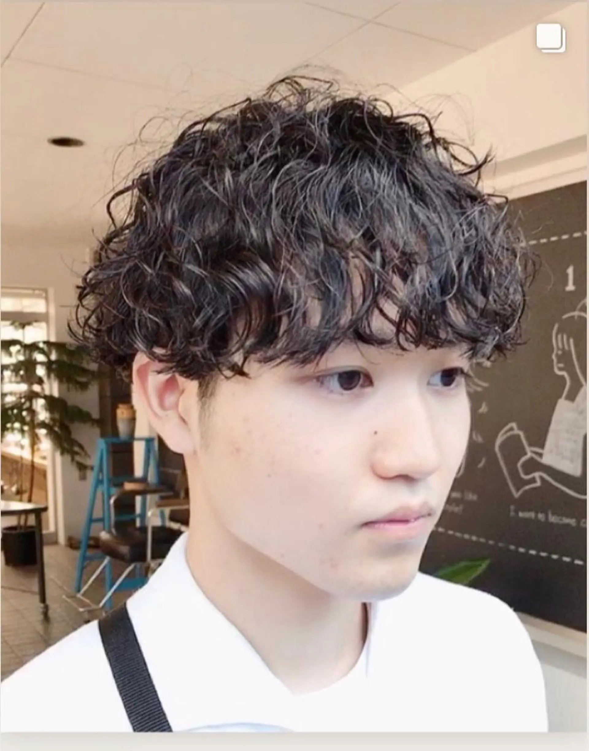 ショート パーマ メンズ マッシュ メンズパーマ カット ヘアカラー パーマ 縮毛矯正 トリートメント メンズパーマ タカキリョウのヘアスタイル