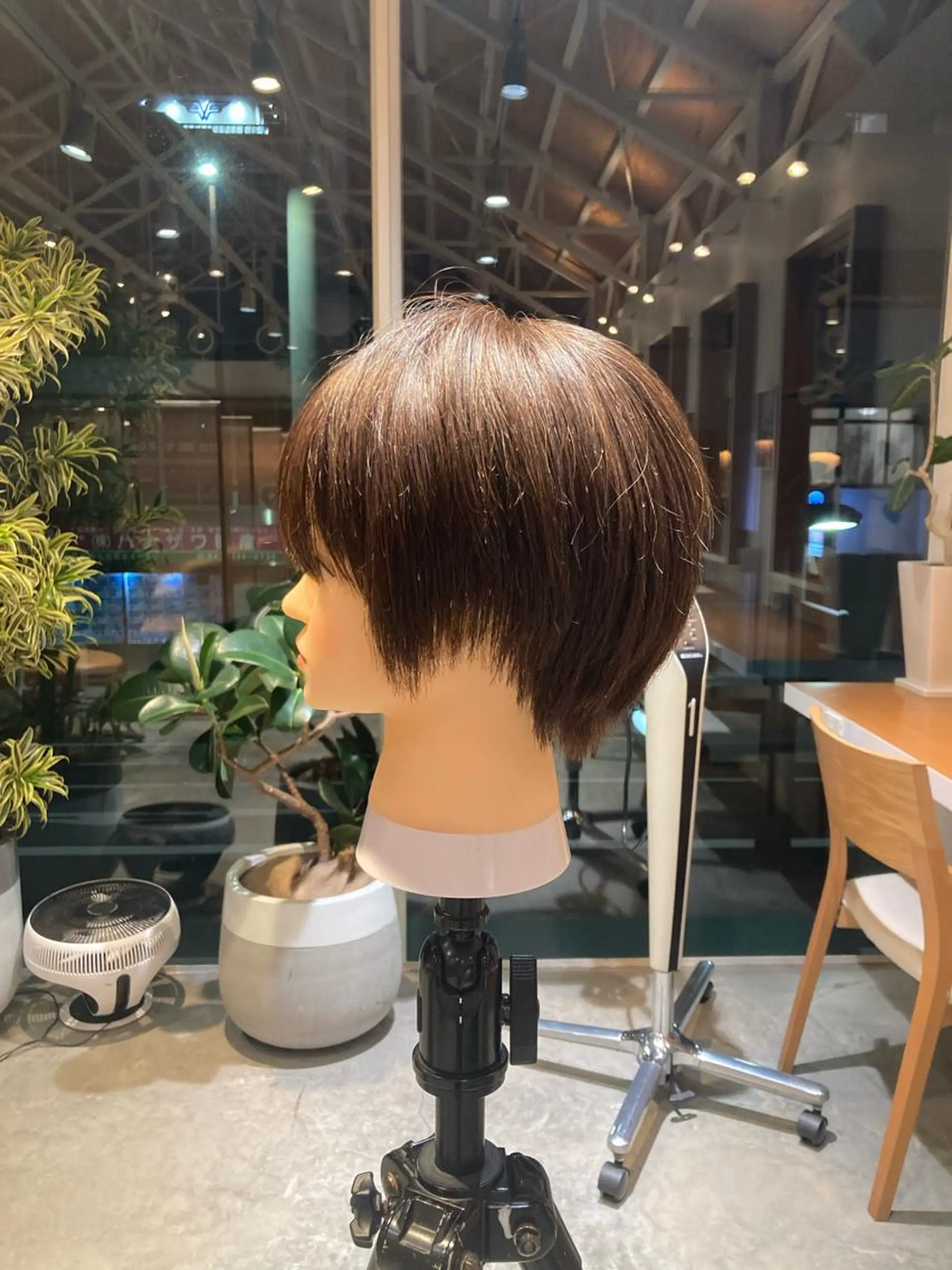 ショート 丸みショート くびれヘア 顔周りカット ショートヘア aivee 吉祥寺所属・美髪矯正×髪質改善 任せて🤍Ko-taのヘアスタイル