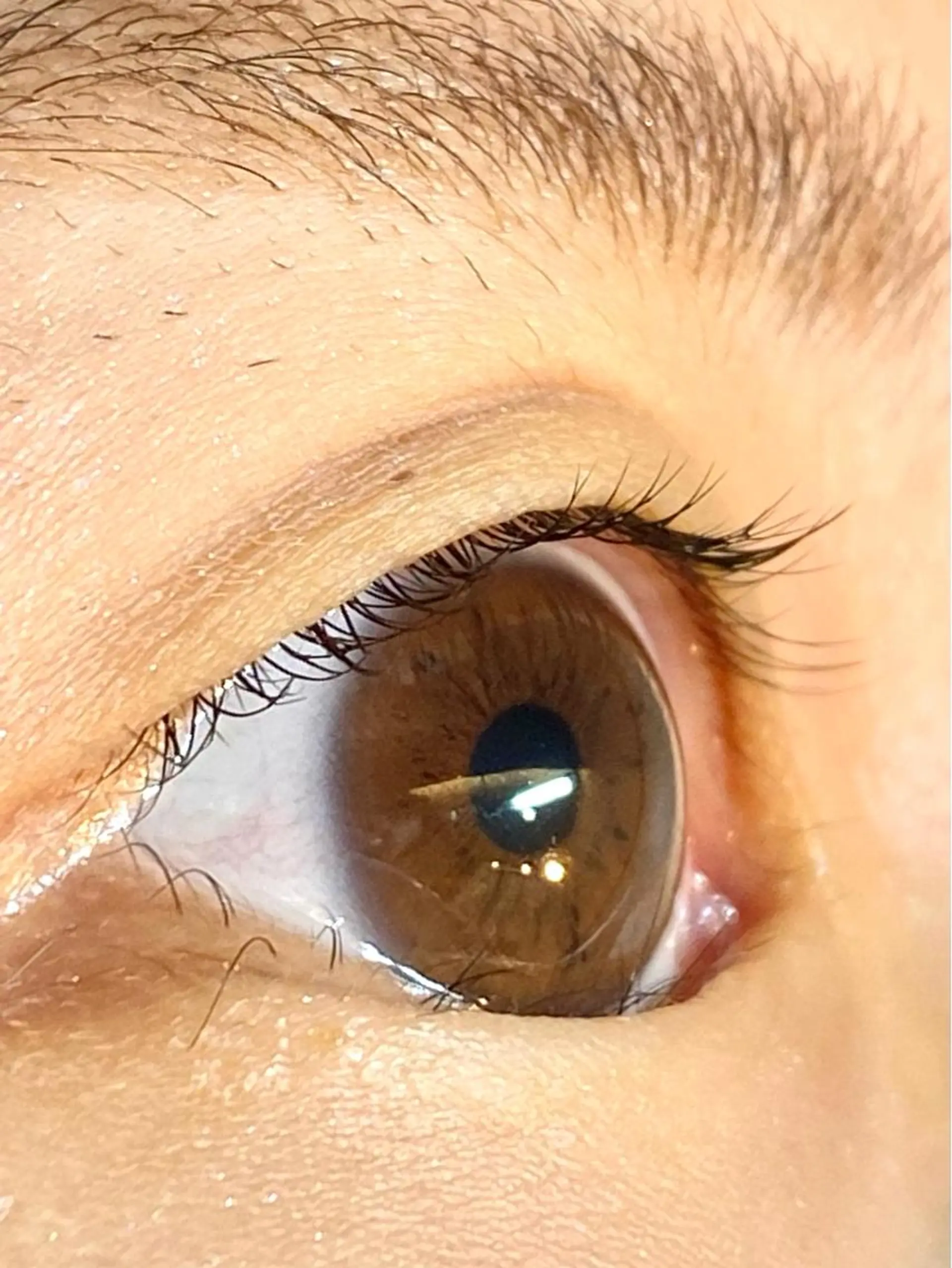 マツエク・マツパ パリジェンヌラッシュリフト ehl:fa Beautyのマツエク・マツパデザイン