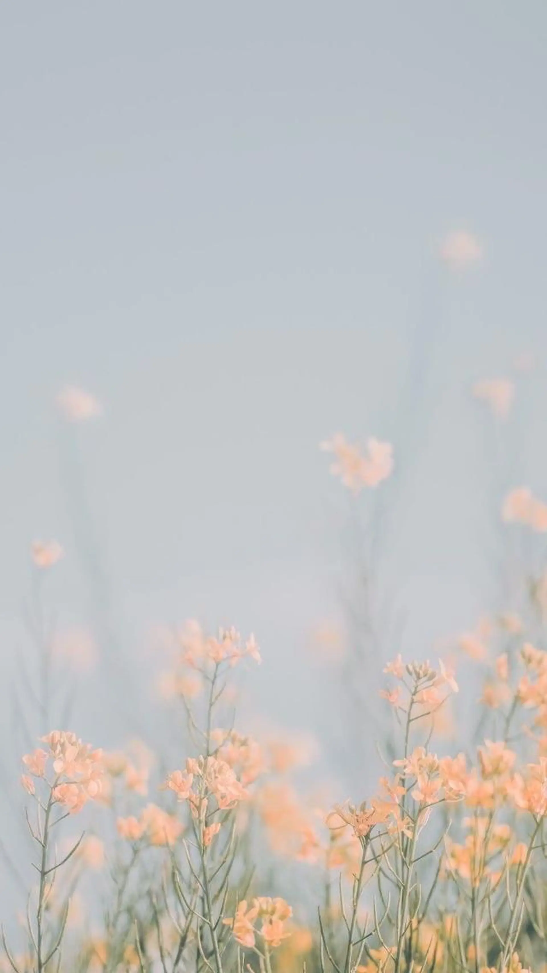 ショート ヘアアレンジ 🌿あがりれいなのその他イメージ