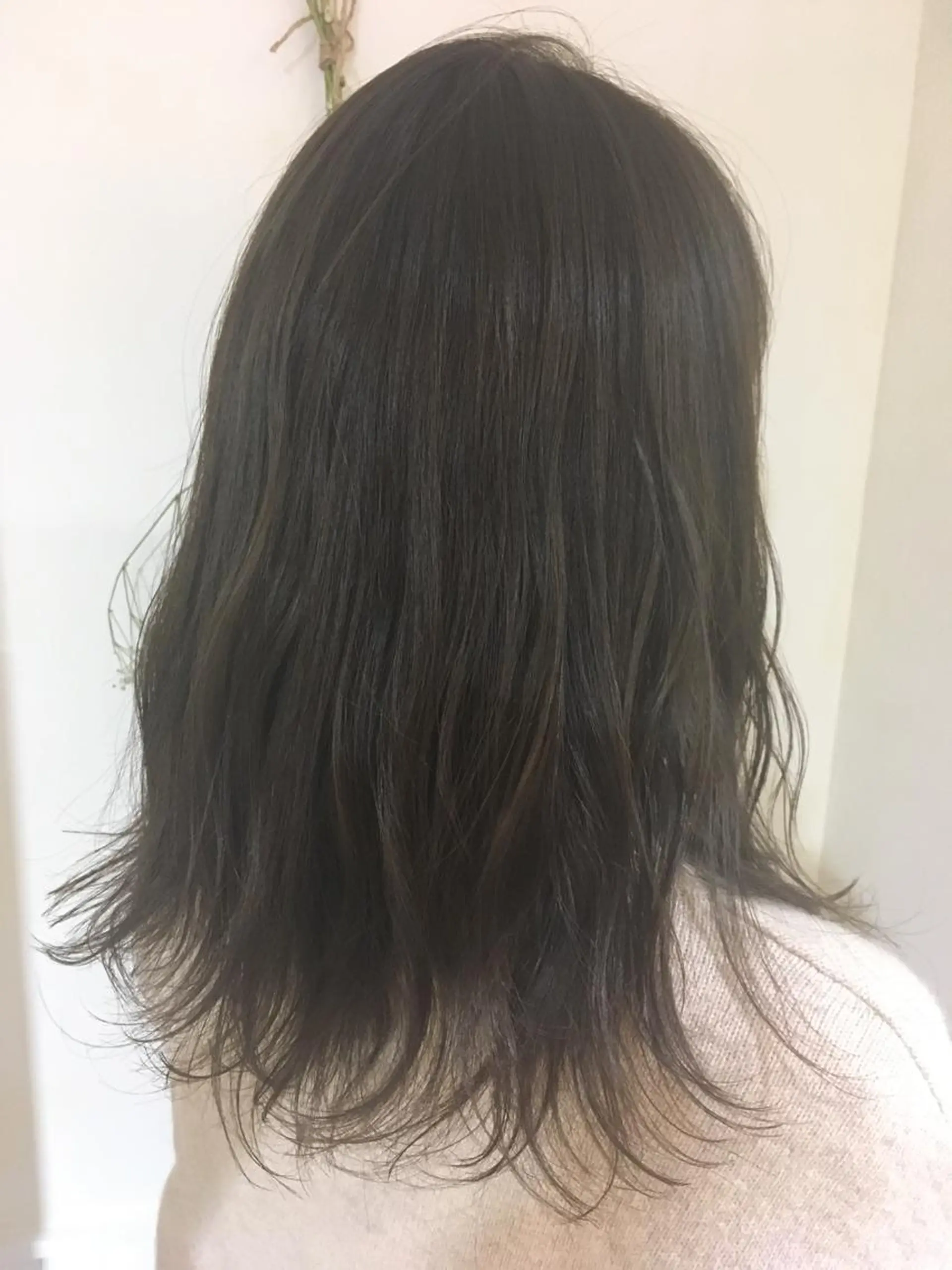 セミロング カラー アッシュ アッシュグレー アッシュグレージュ 透明感カラー グレージュ 🌿椿 夢来🌿のヘアスタイル