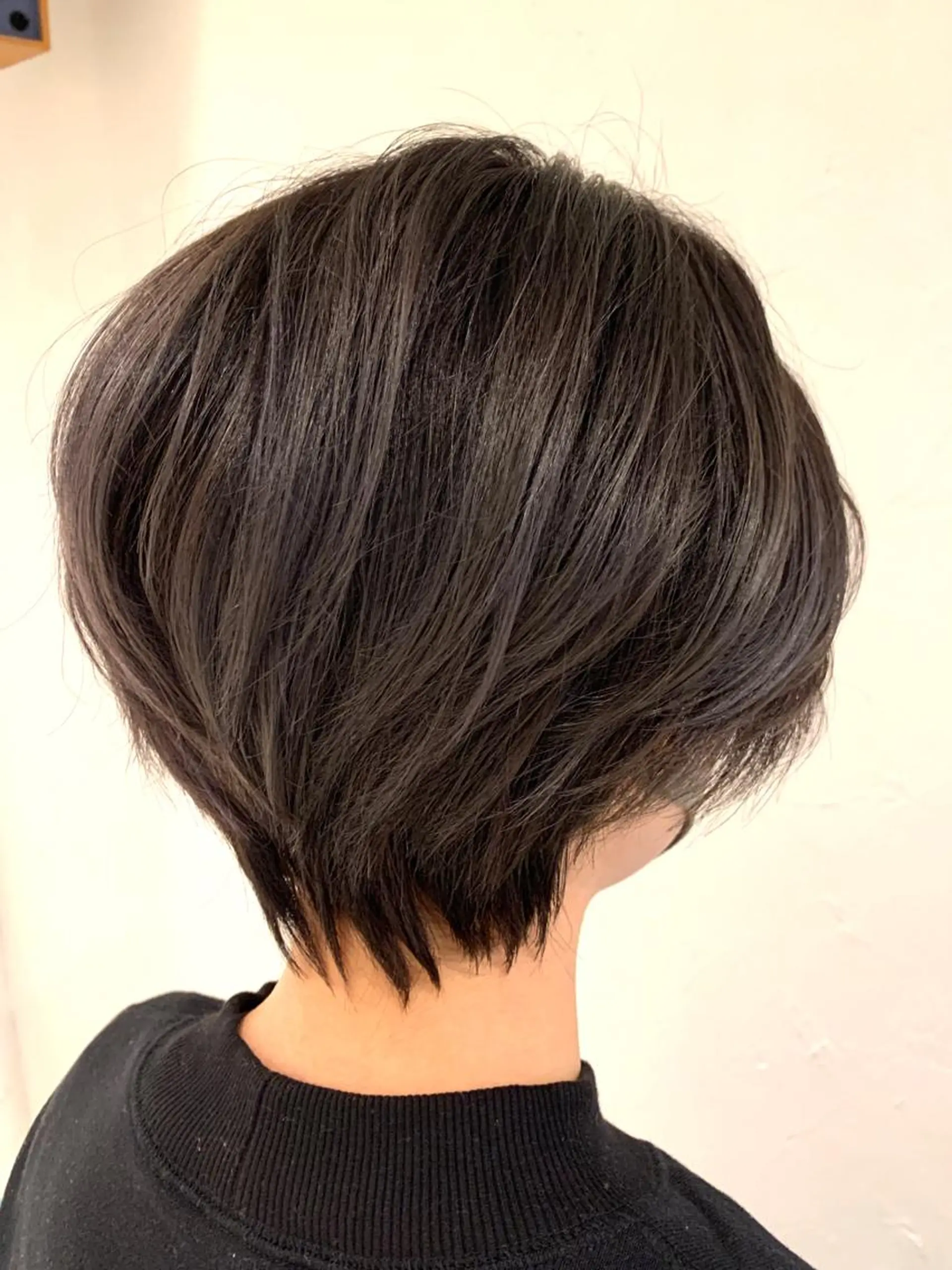 ショート ハンサムショート パープルカラー ハイライト ショートヘア 蛯名 ユウジのヘアスタイル
