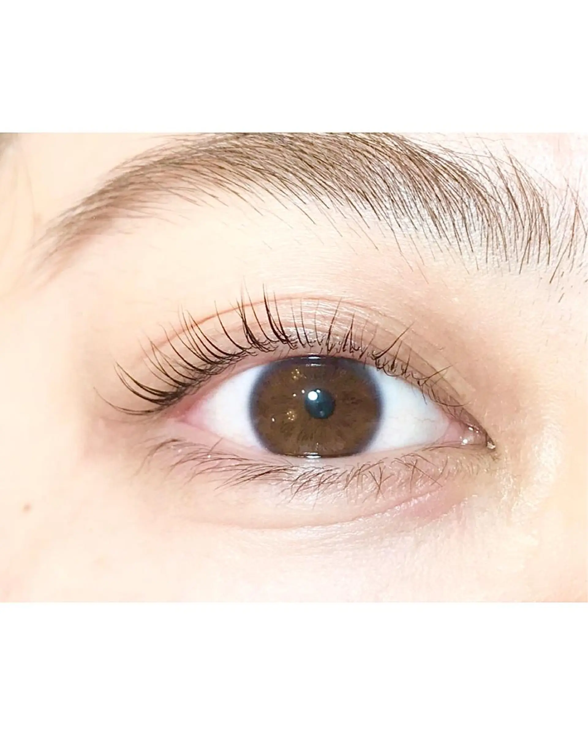 マツエク・マツパ étora eye渋谷のマツエク・マツパデザイン