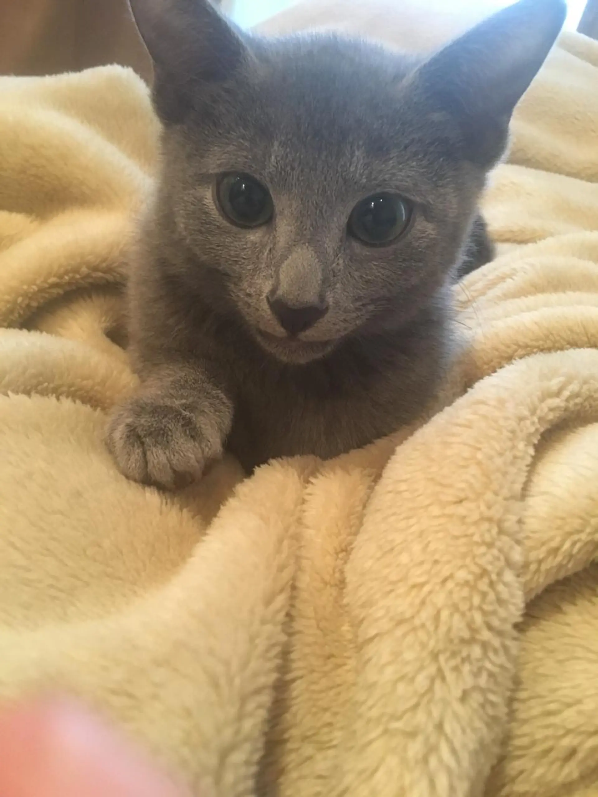 ショート カラー パーマ ヘアアレンジ メンズ キッズ ネイル マツエク・マツパ アニメ,Vオタク× 即効痩せエステサロンのエステ・リラクイメージ