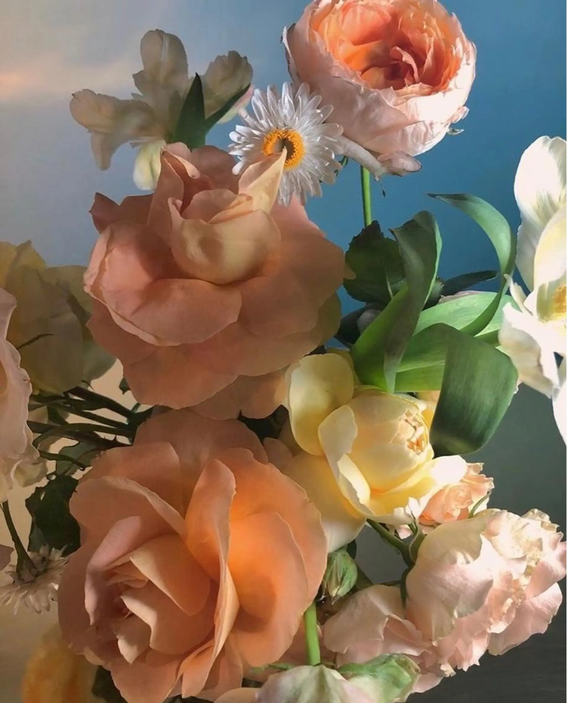 ♡可愛い艶髪特化♡ 艶髪先生のヘアスタイル