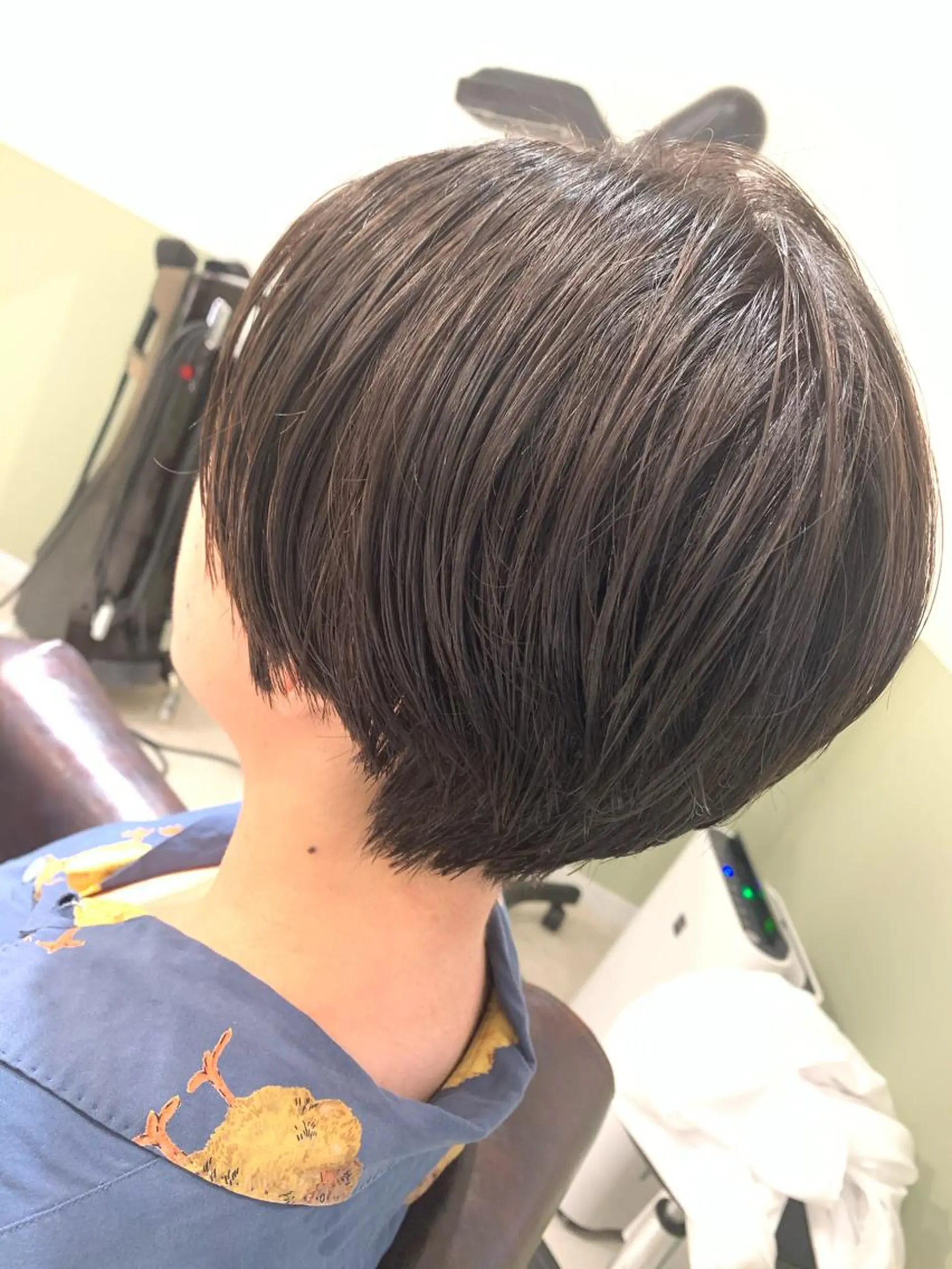 ショート カット 井上 美春のヘアスタイル