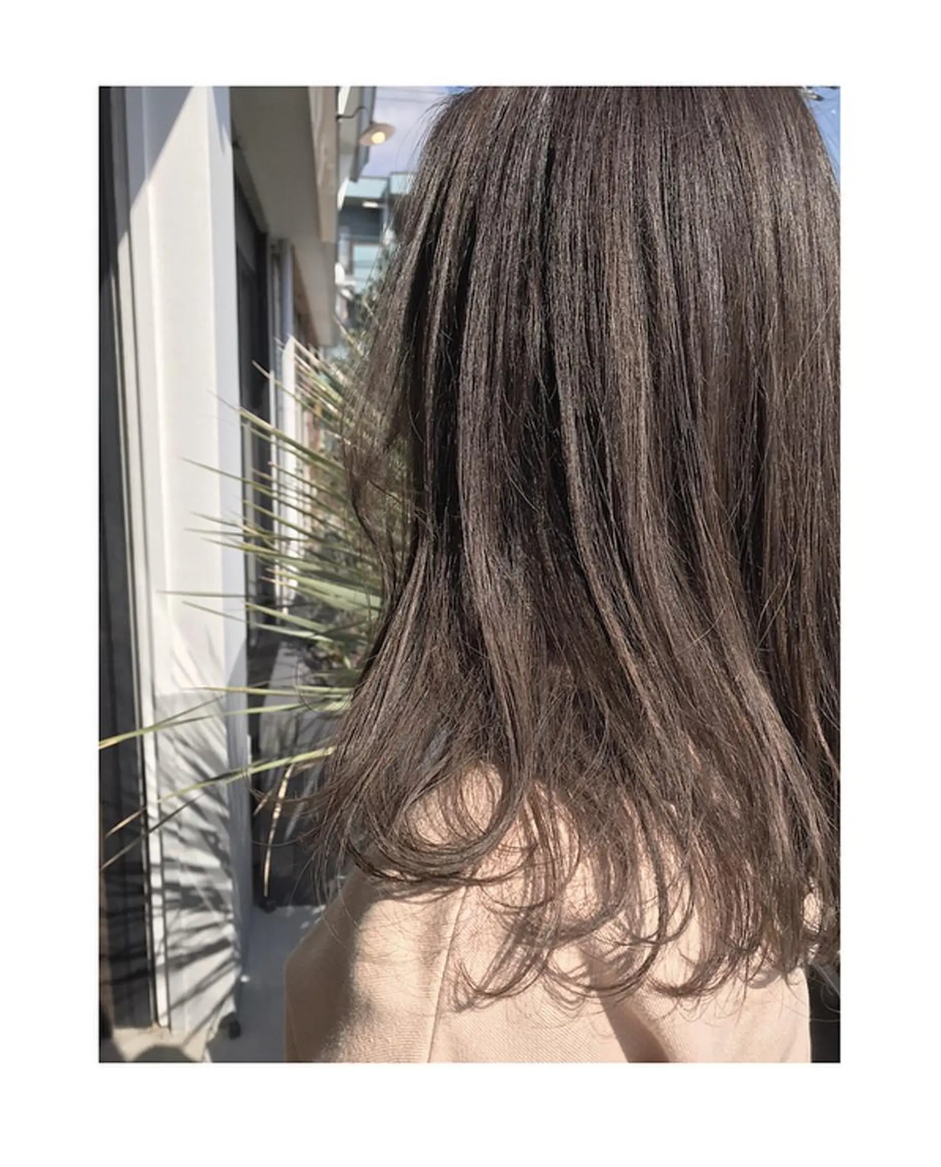 セミロング 河田 海陽のヘアスタイル