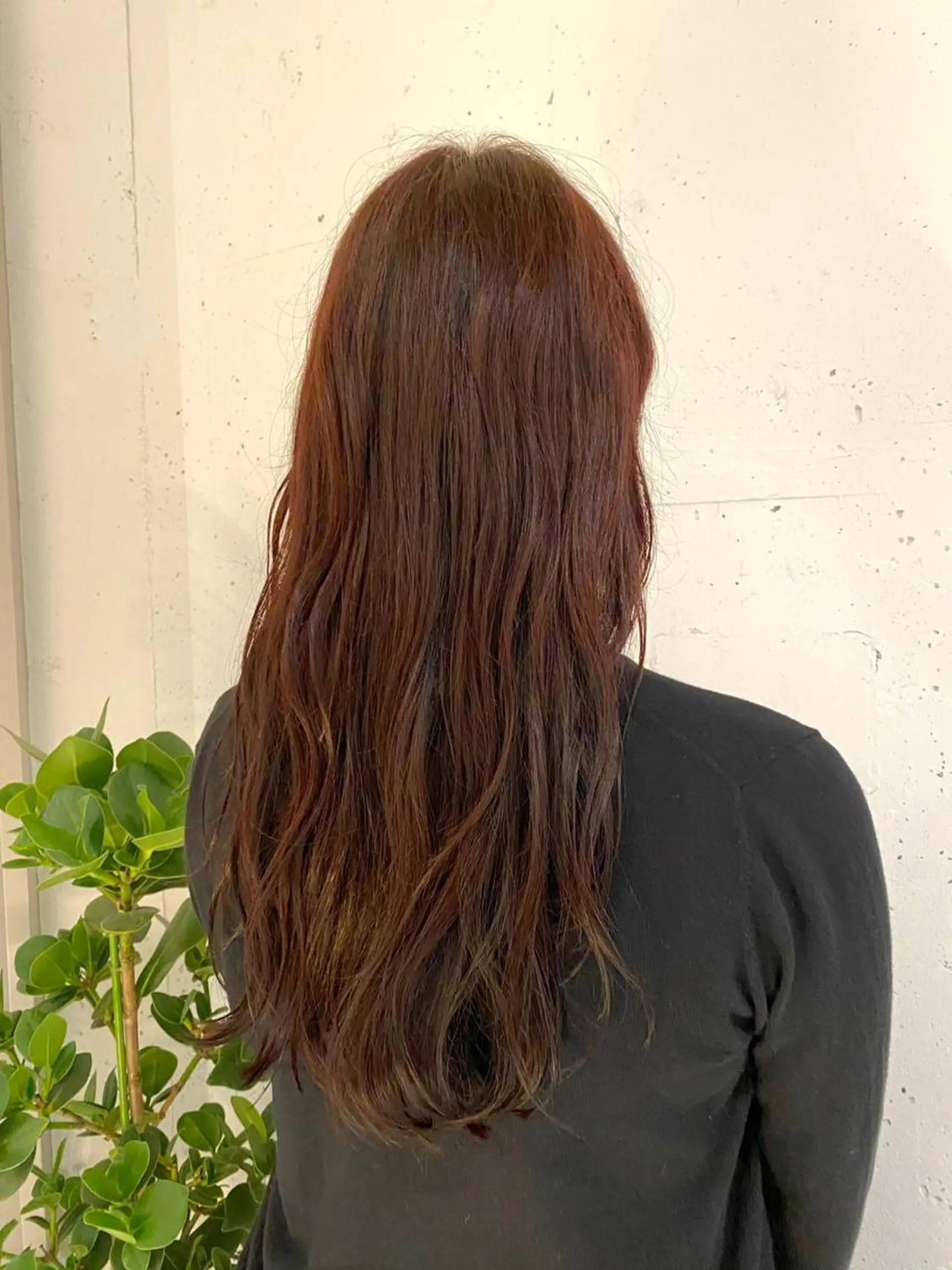 ロング カラー ナチュラル/韓国💎 haruka 💎のヘアスタイル