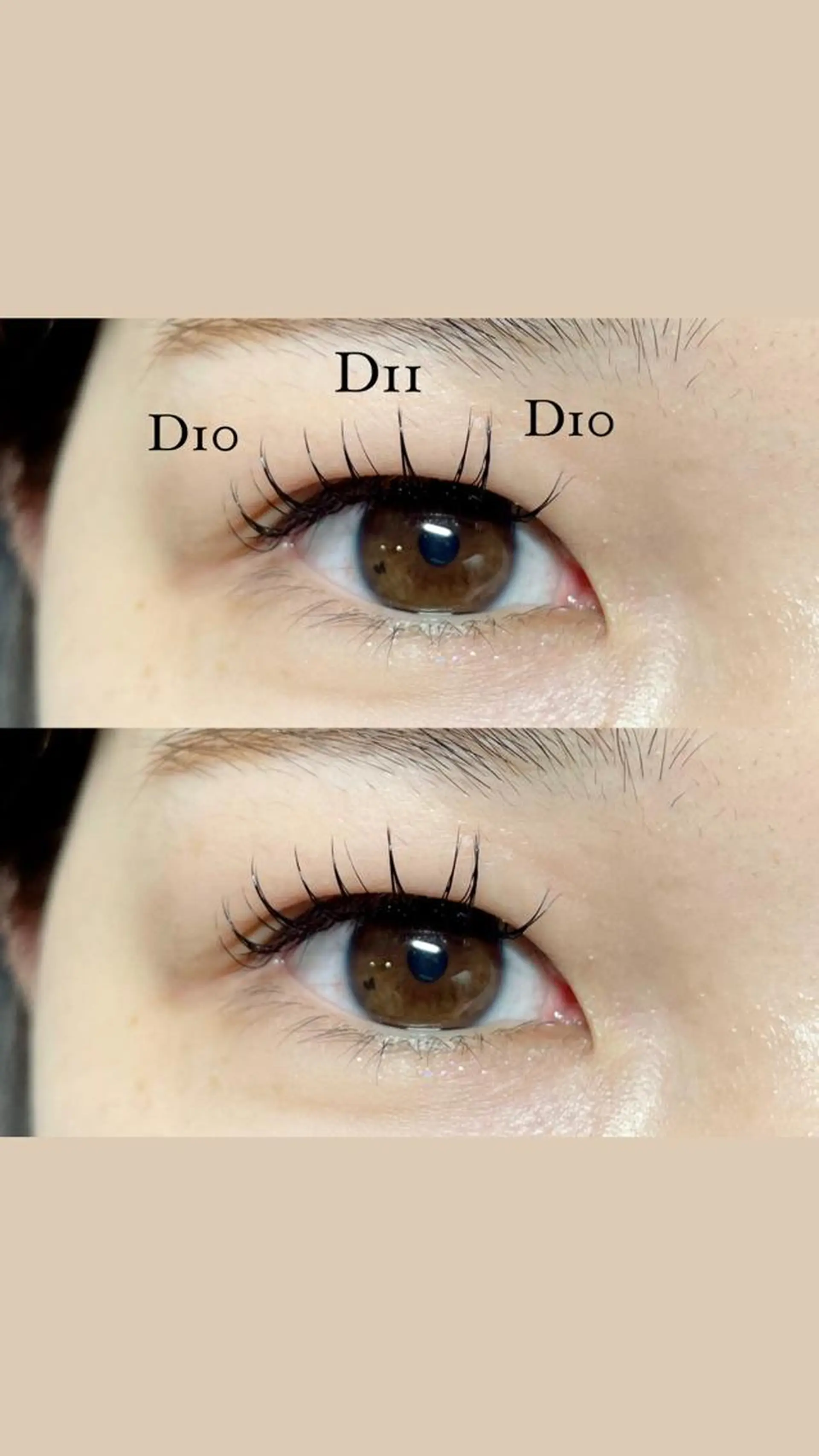 マツエク・マツパ Dカール セーブル ＋tico _ayanaのマツエク・マツパデザイン