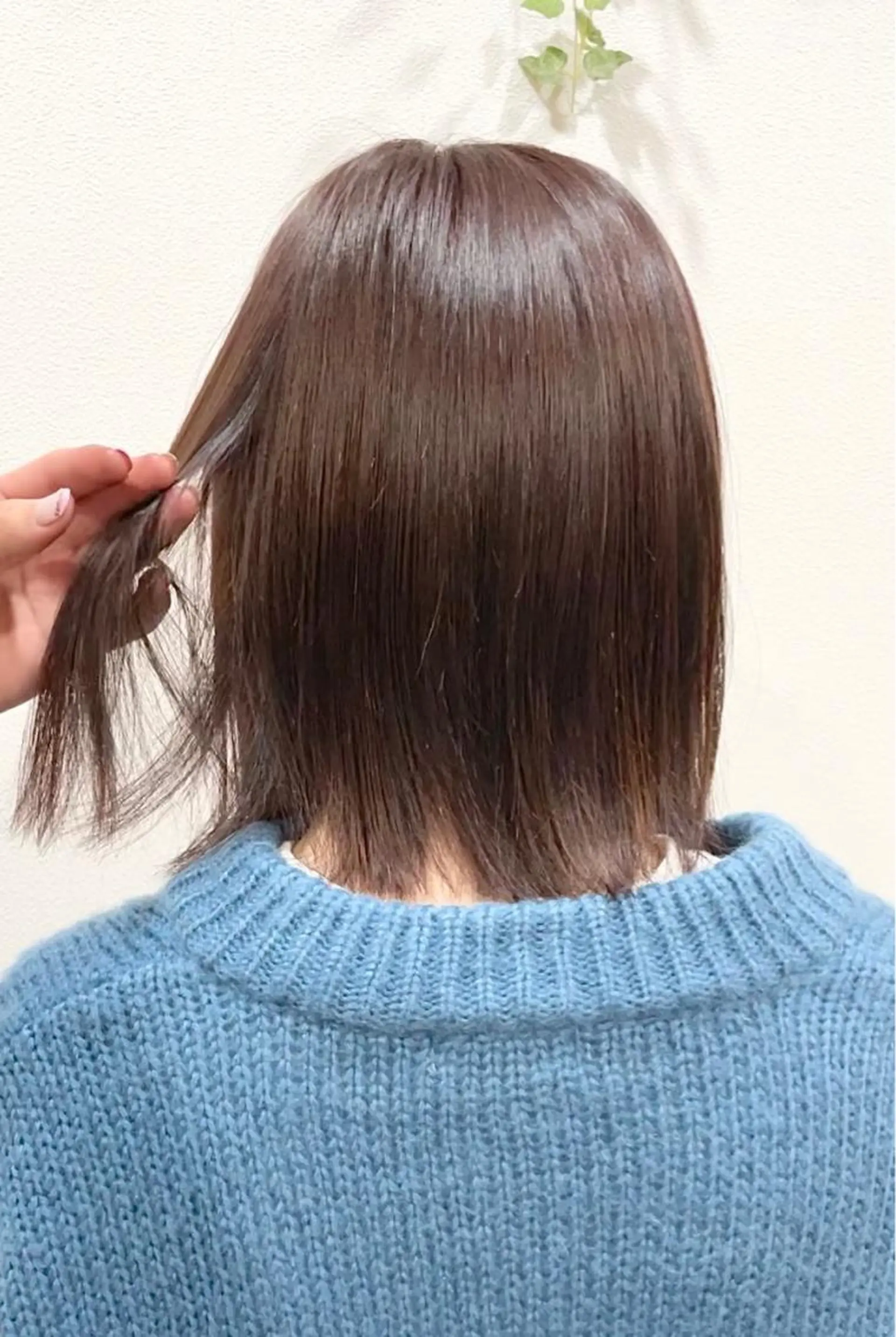 ショート カラー ブラウンカラー ナチュラルブラウン 中村 海波のヘアスタイル