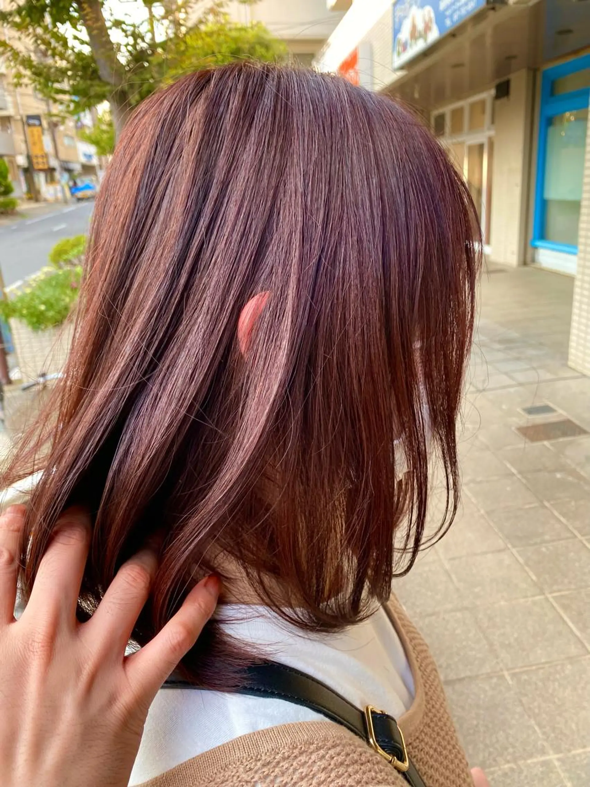 ミディアム カラー ピンクカラー レッドカラー カット ヘアカラー 【店長】野呂 隼人のヘアスタイル