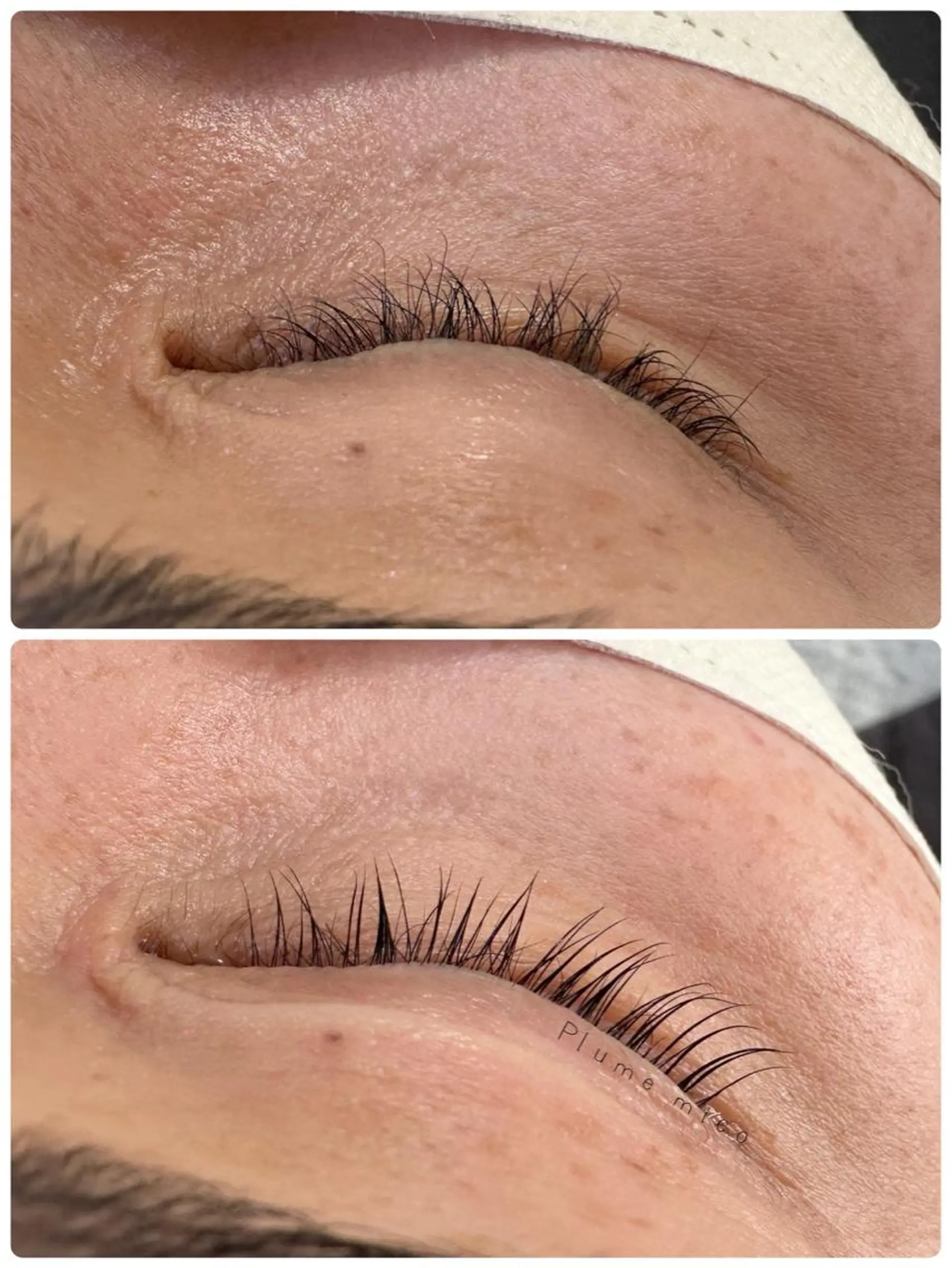 マツエク・マツパ マツパ Plume micoのマツエク・マツパデザイン