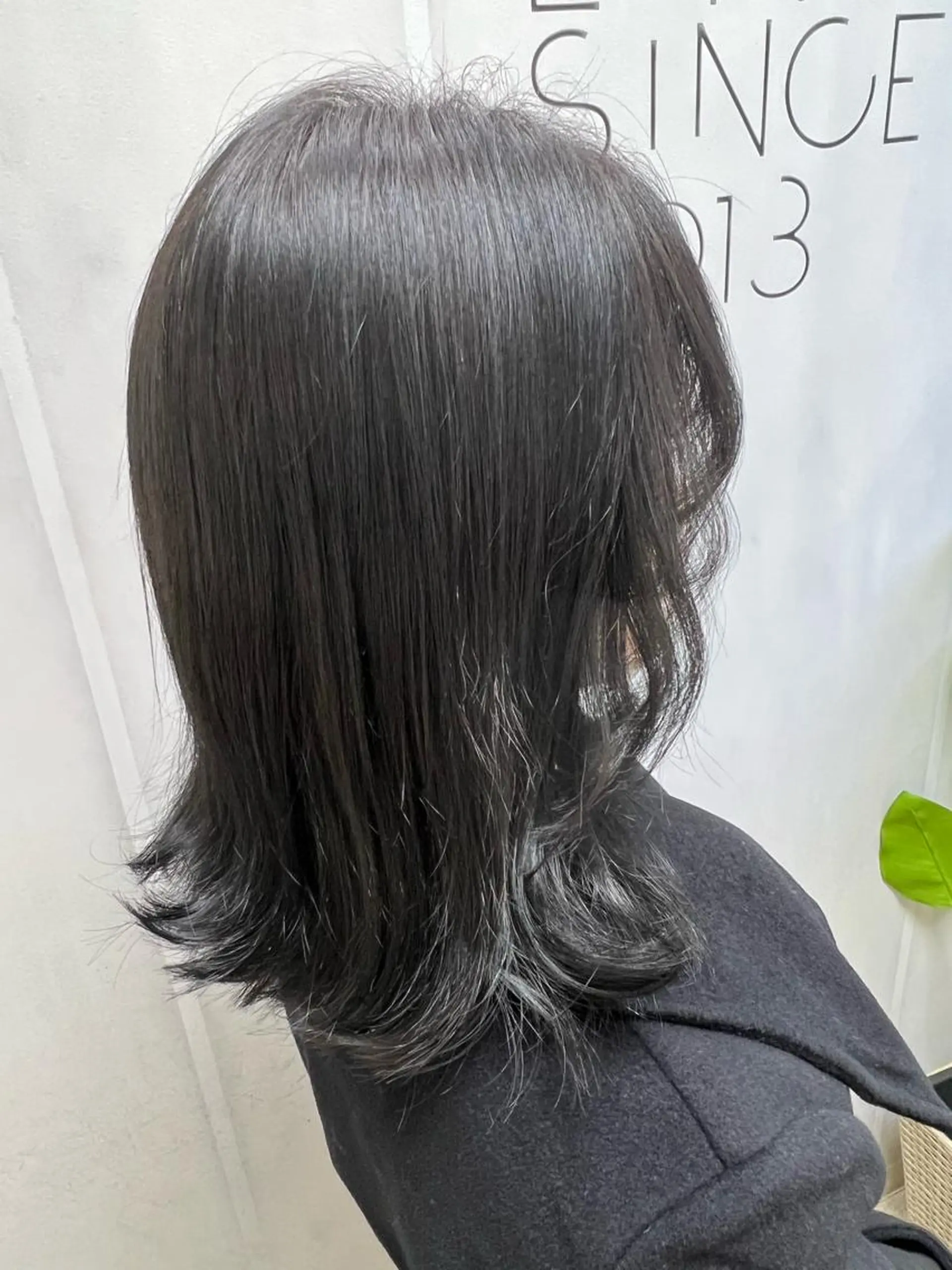 ショート カラー 黒髪 ブルーカラー ブルーブラック 🦋.*˚オタク美容 師アキバノノカ🦋のヘアスタイル