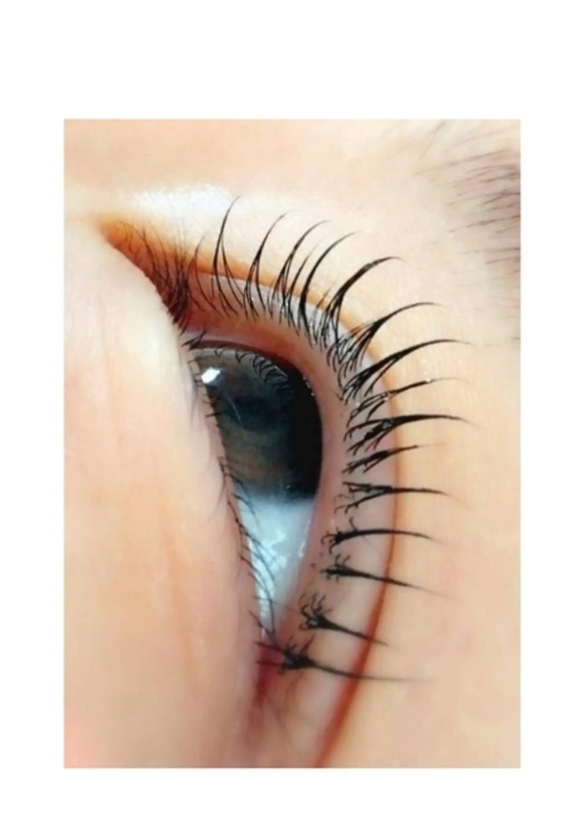 マツエク・マツパ マツパ eyelash salon coat所属・eyelash saloncoatのマツエク・マツパデザイン