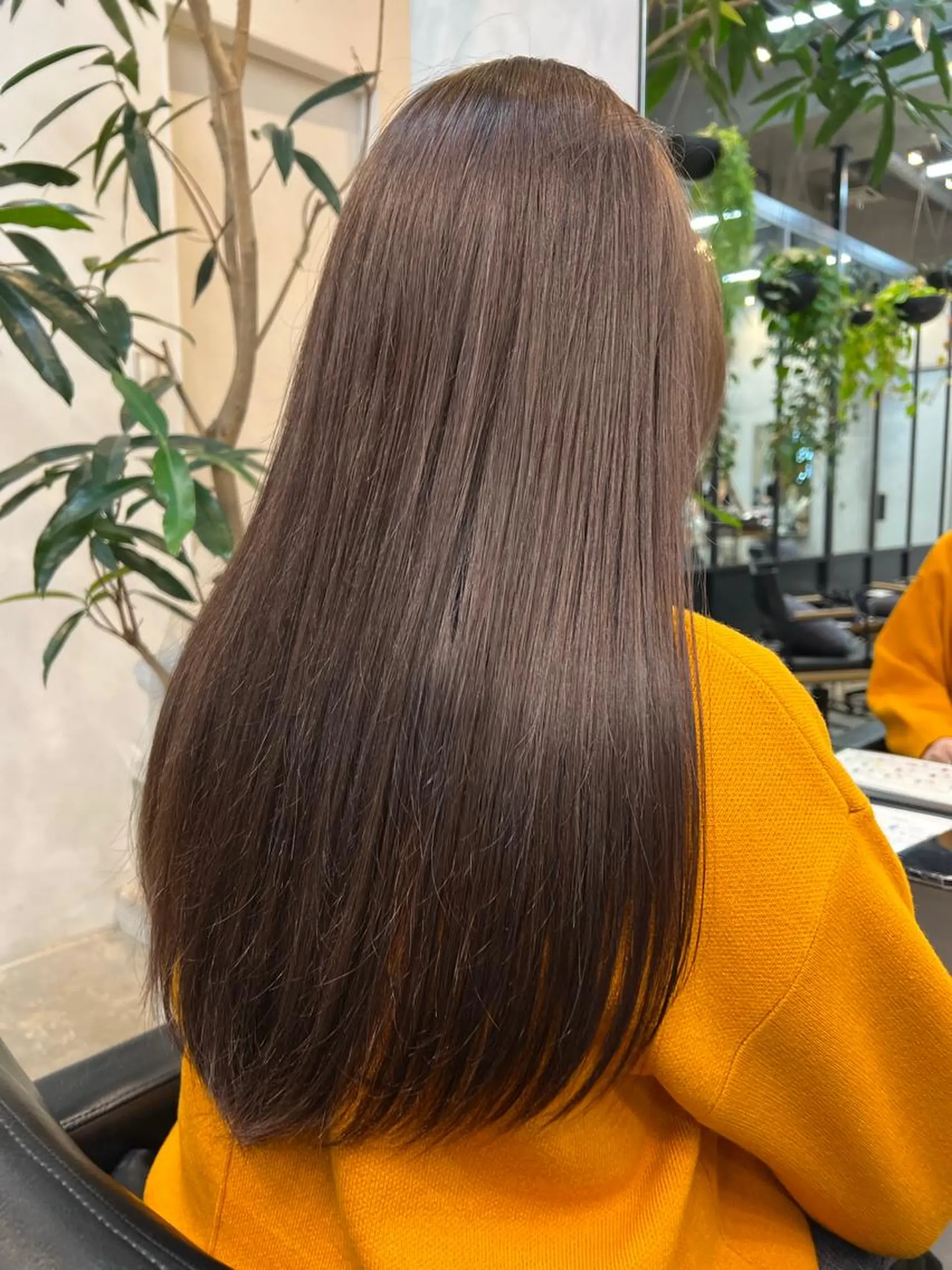 ミディアム 🐋湊 ゆうき /レイヤーカット🫧のヘアスタイル